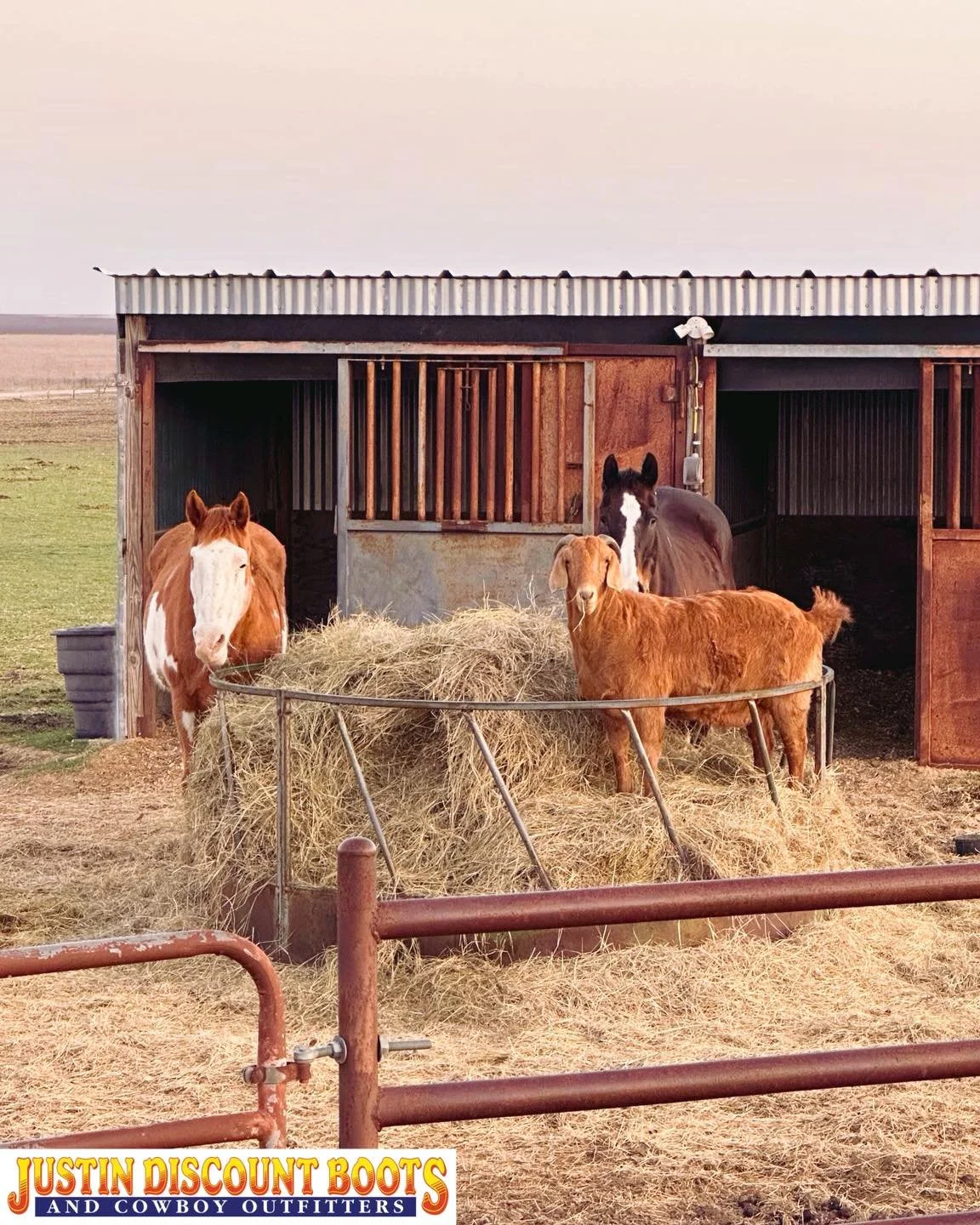 When you decide to live your best life everyday&hellip; you can&rsquo;t have a bad day 😉 
&bull;
&bull;
#JDB #justindiscountboots #justindiscountbootsandcowboyoutfitters #justintx #westernfashion #rodeofashion #ranchfashion #westernvibes #rodeovibes