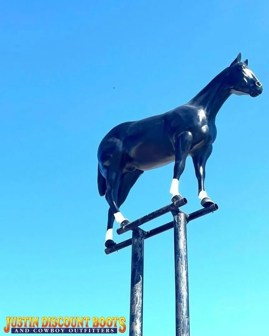 Check out our gorgeous stallion 🤩 He sits out in front of our Main building &amp; has been our &ldquo;watcher&rdquo; for many moons 🌙 
&bull;
&bull;
#JDB #justindiscountboots #justindiscountbootsandcowboyoutfitters #justintx #westernfashion #rodeof