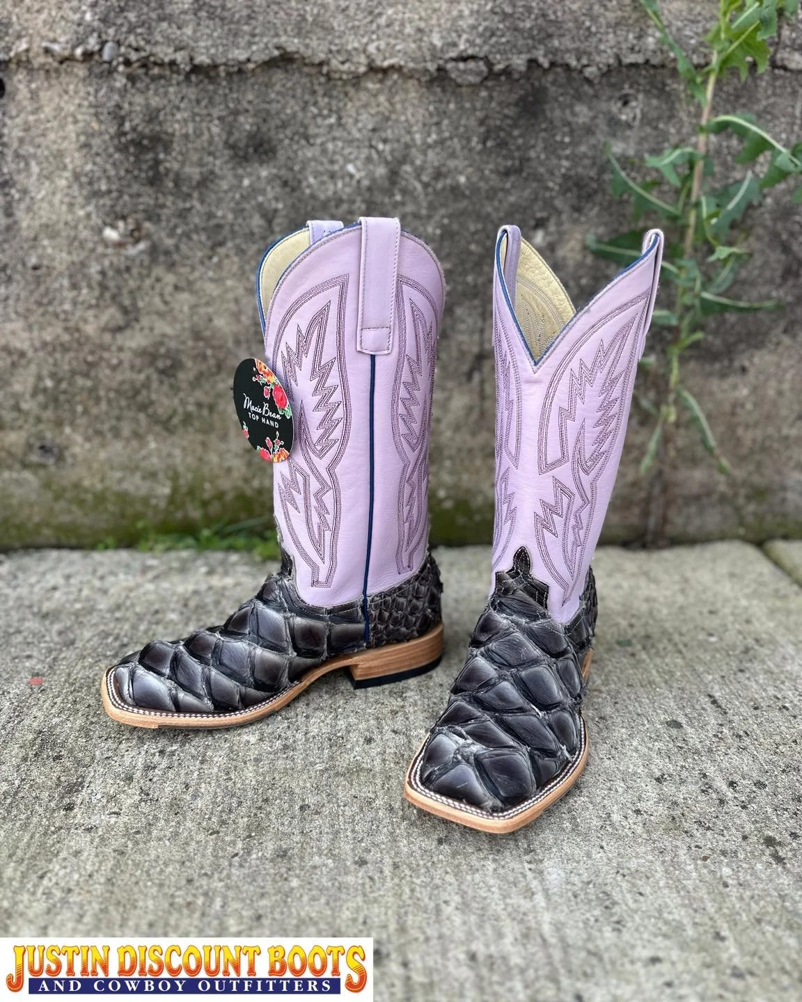 🔔 Boot of the Week 🔔

When you pair a Mockingbird Big Bass vamp with a Lavender Pandora shaft, you get perfection!

| @maciebeanboots |
&bull;
&bull;
#JDB #justindiscountboots #justindiscountbootsandcowboyoutfitters #justintx #westernfashion #rodeo