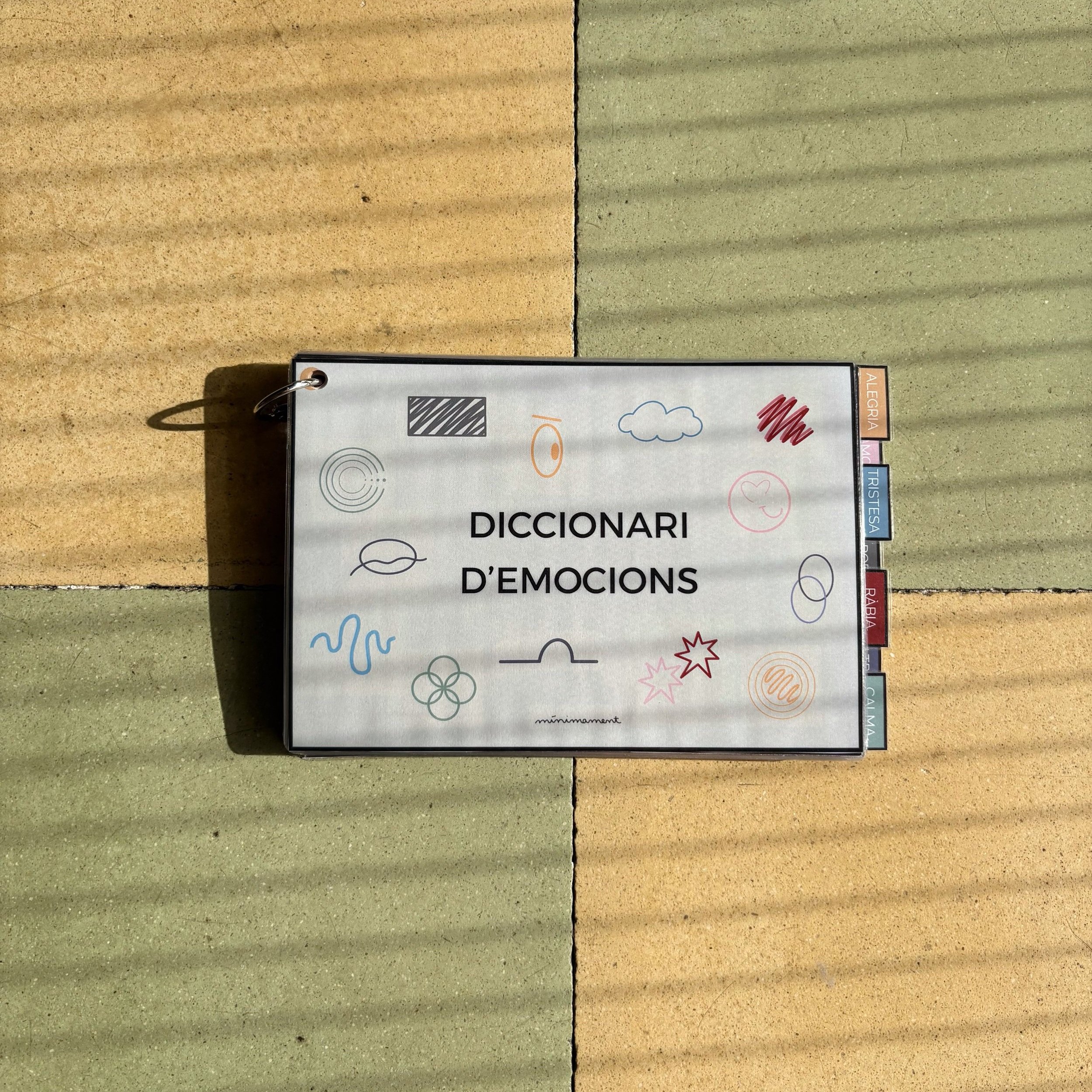 diccionari.jpg