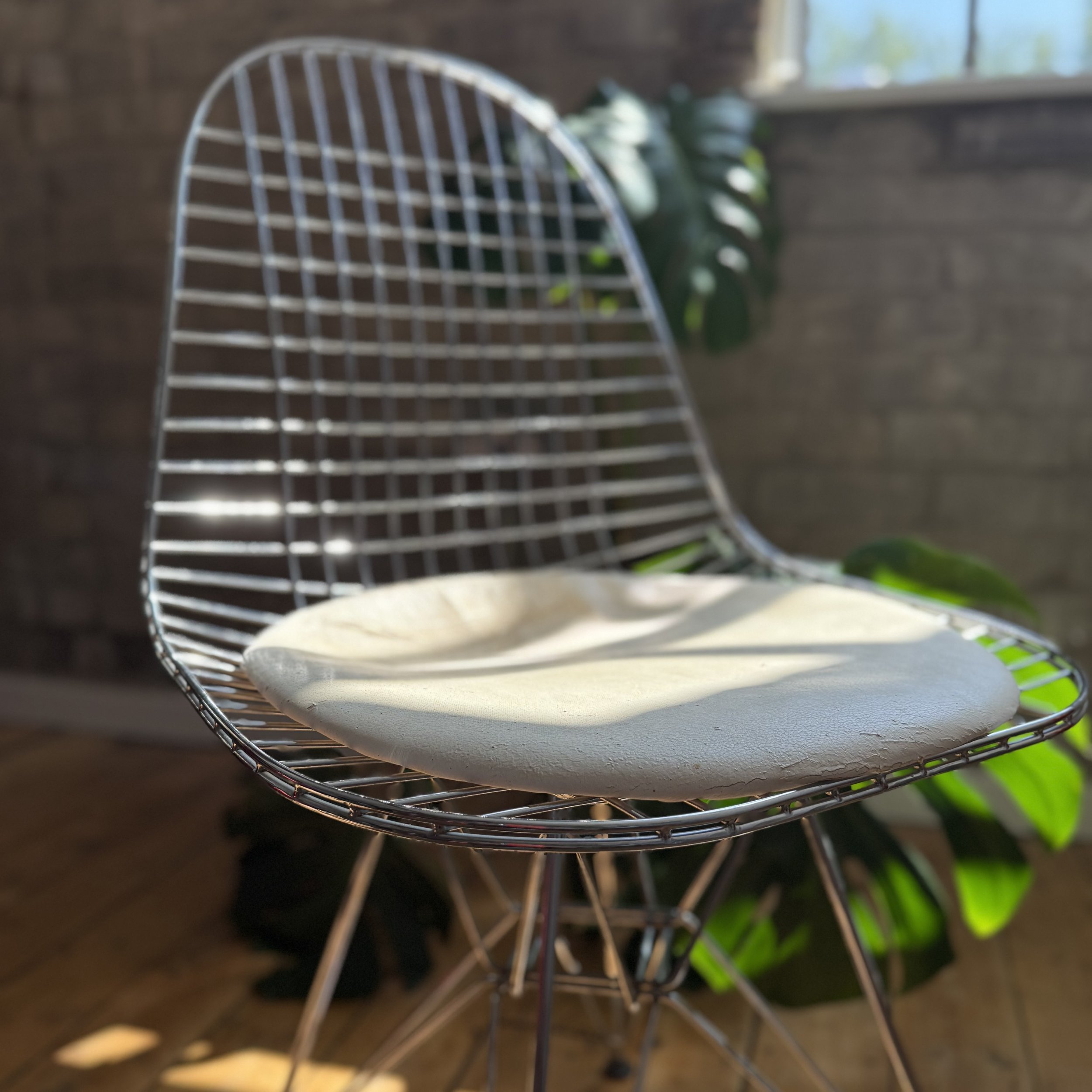 IMG_0931.jpeg