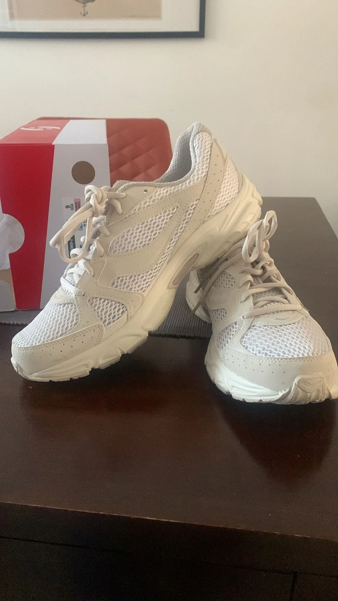 Saucony Ride Millenium (EU 42 / worn once)