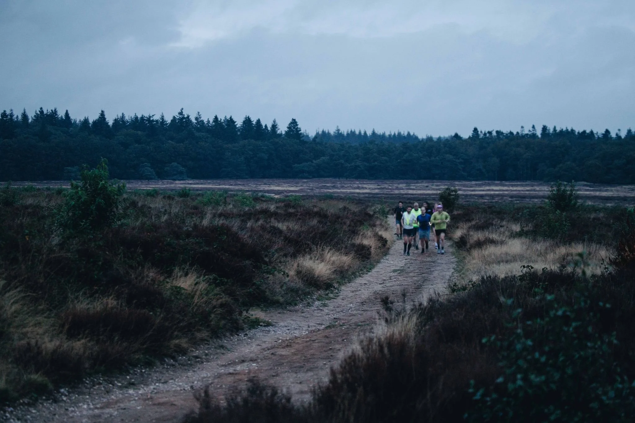 INTO THE WILD