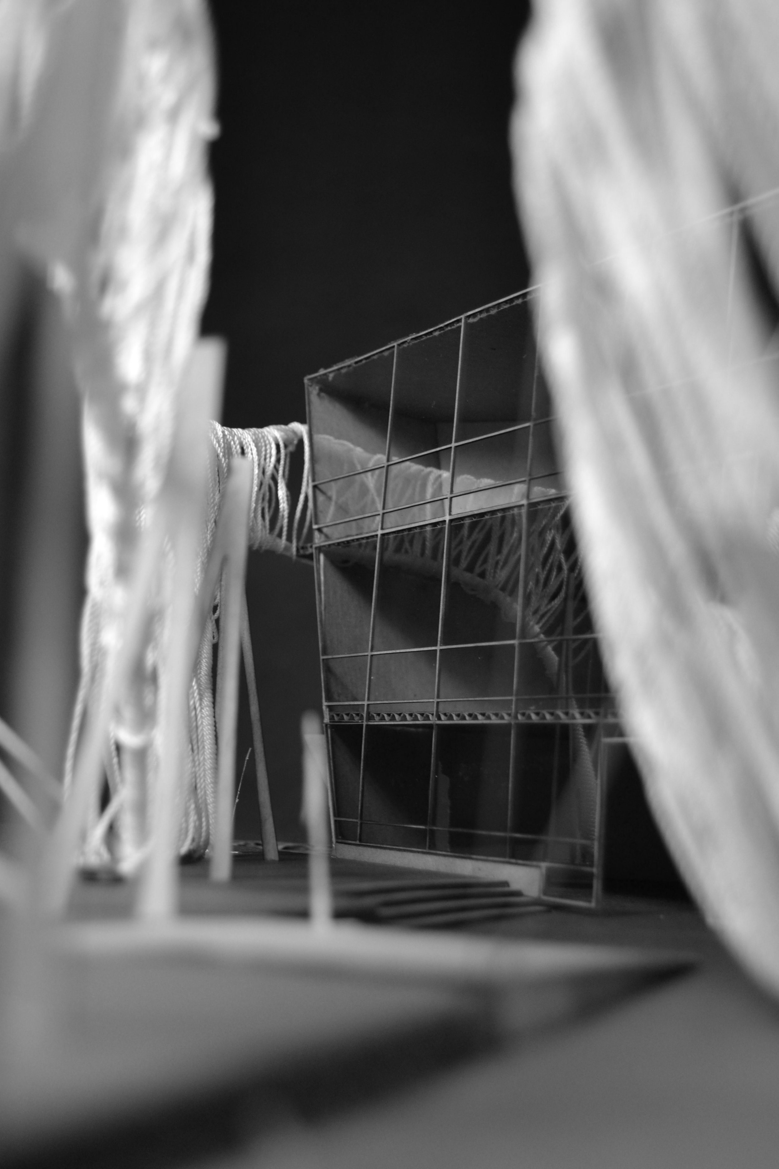 ReflectionDetailB&W.jpg