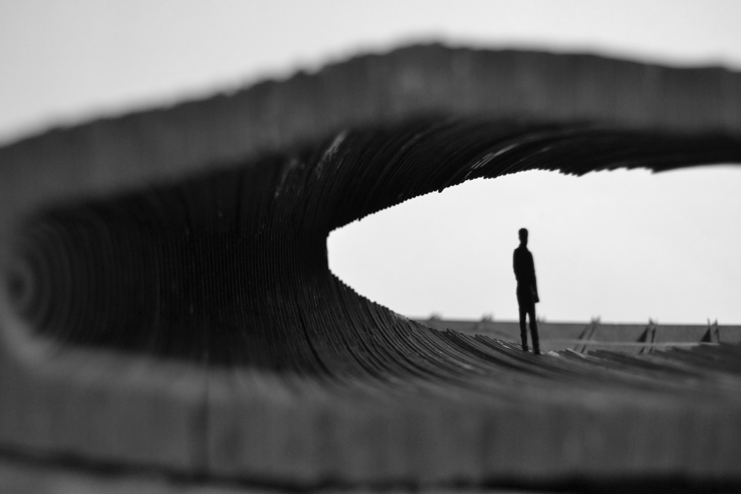 FramingViewB&W.jpg