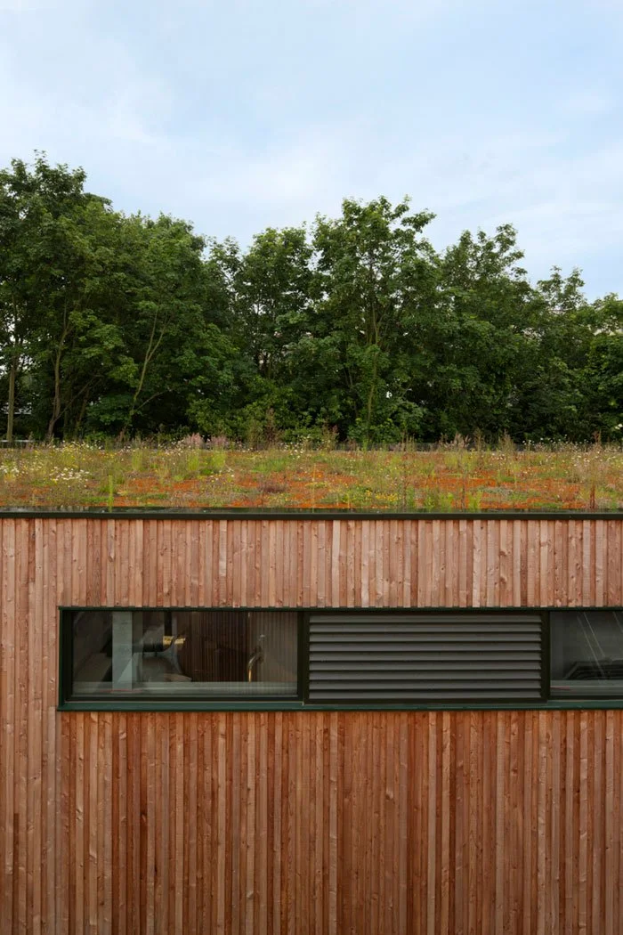 A modern building with a wooden exterior, featuring a horizontal window and an angled black vent, with a lush green treeline and blue sky in the background.