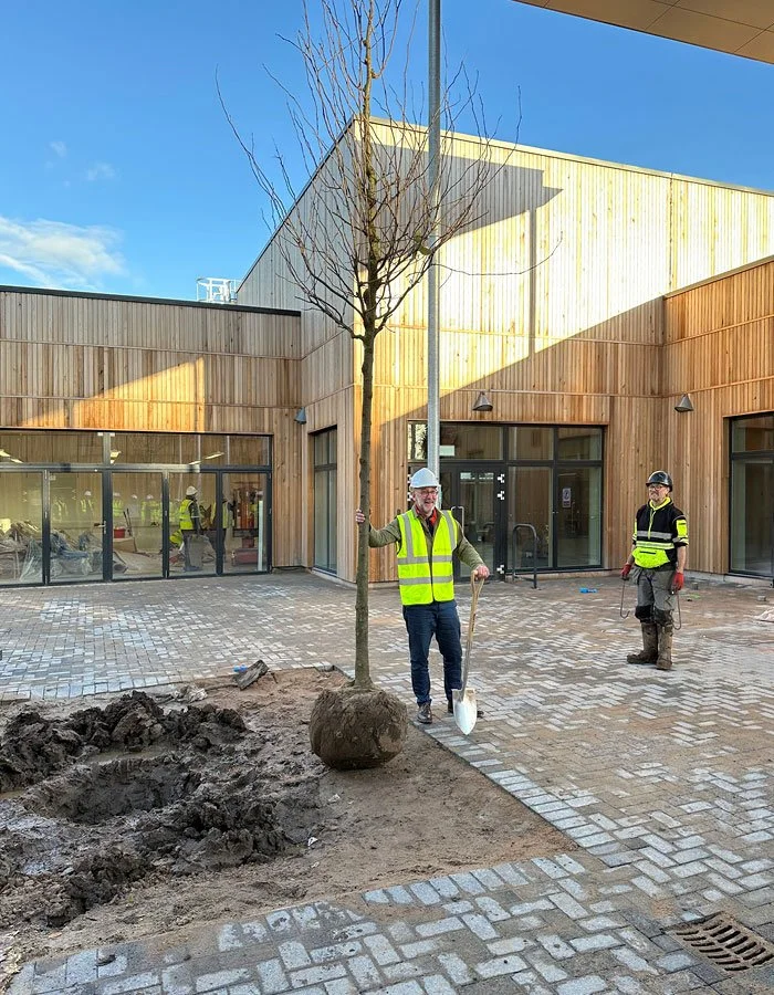 Two construction workers in safety vests and helmets planting a tree in an urban courtyard with brick paving and a modern wooden building in the background.