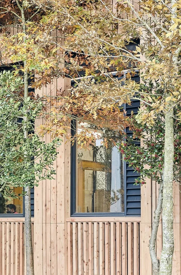 A modern building with wooden exterior siding and large windows, partially obscured by trees with green and brown leaves.
