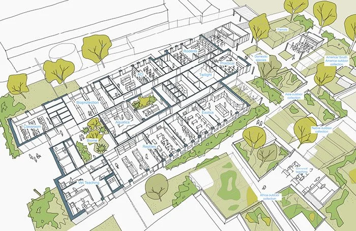 Detailed architectural layout of a school or educational facility with labeled indoor rooms and outdoor areas, including green spaces and outdoor activity zones.