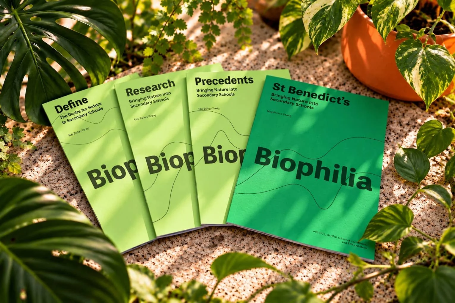 Four green Biophilia research reports by May Parkes-Young, exploring nature in secondary school design, arranged among plants and dappled sunlight.