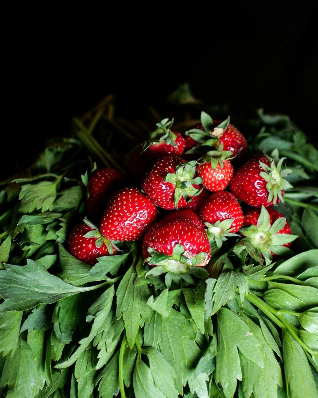 Pour notre dessert du moment, des fraises fra&icirc;chement r&eacute;colt&eacute;es par un producteur local, s&eacute;lectionn&eacute;es pour leur qualit&eacute; exceptionnelle et leur parfum intense.

Travaill&eacute;es avec d&eacute;licatesse par n