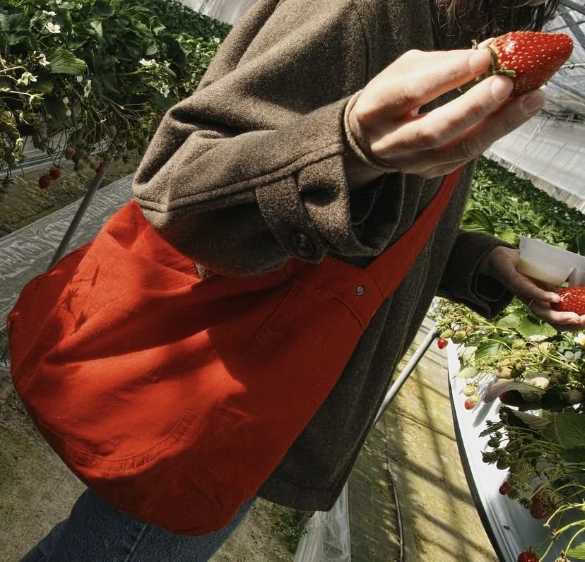 Person in a brown coat and jeans wearing a red bag holding a strawberry in a greenhouse with strawberry plants.