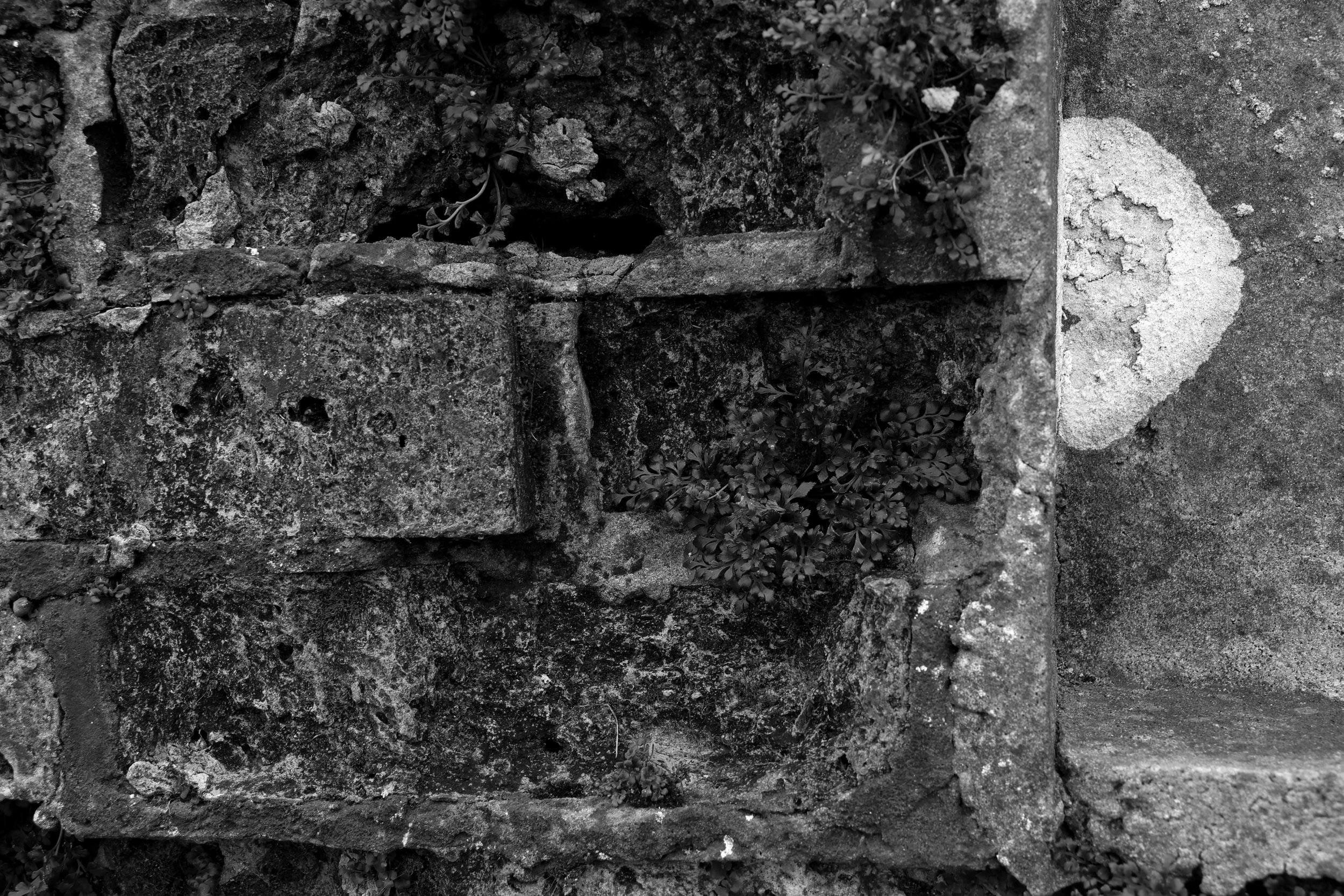 51.1454.1 N 1.1607.2 E