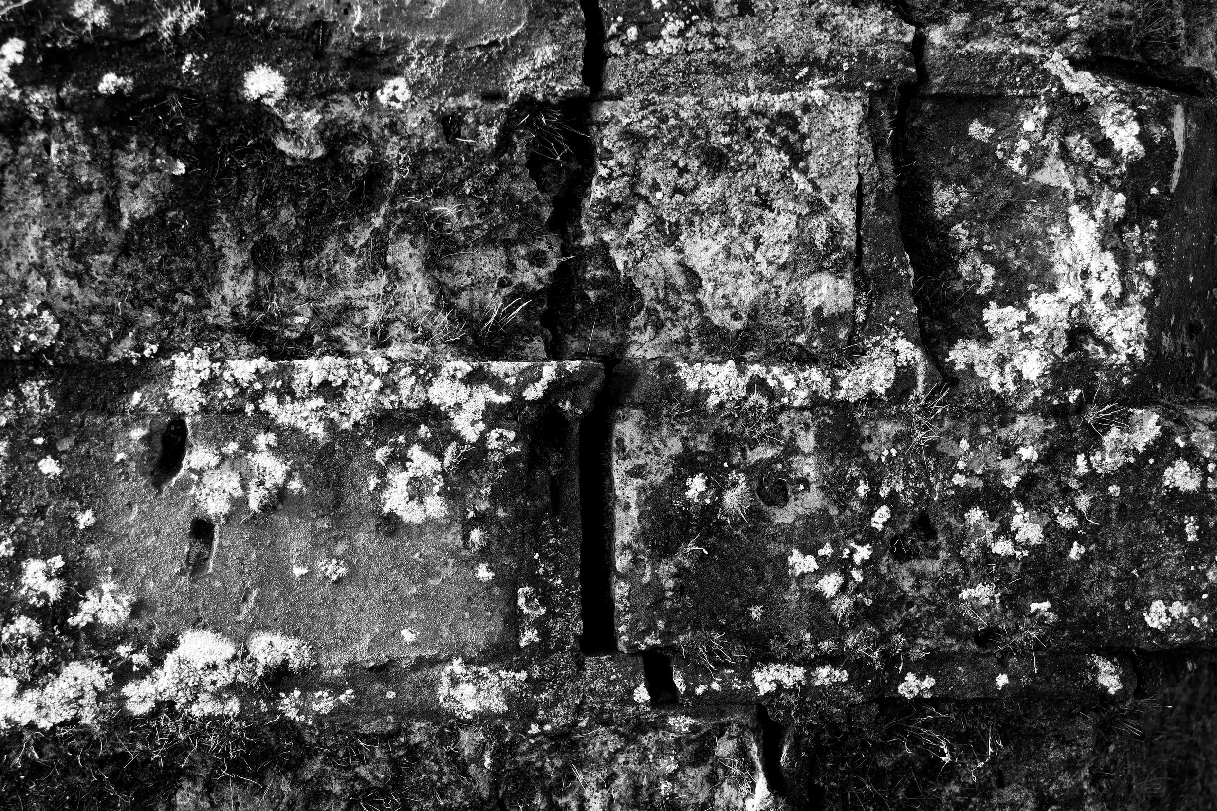 51°14'53.5"N 1°15'24.0"E