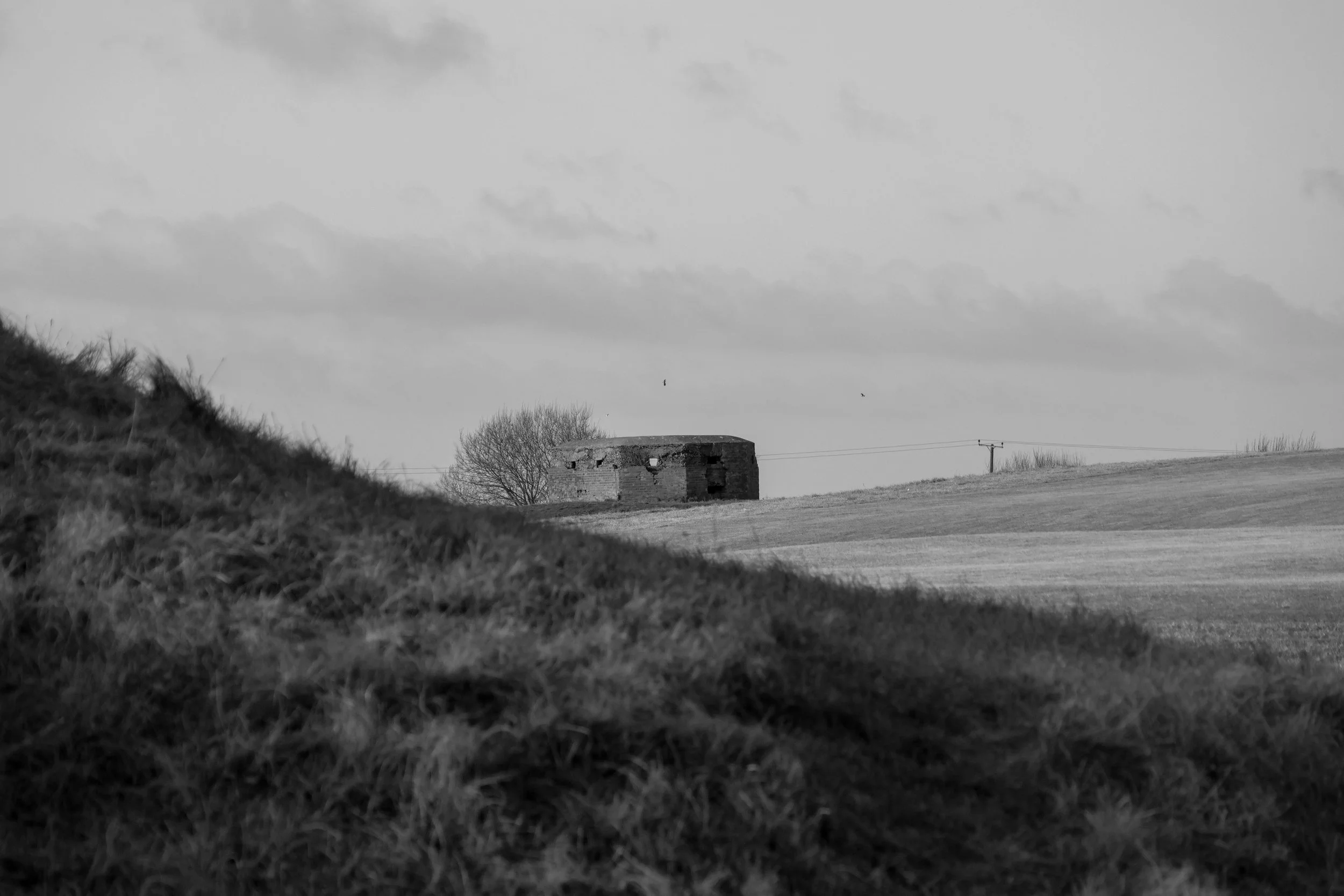 51°14'53.8"N 1°23'42.5"E