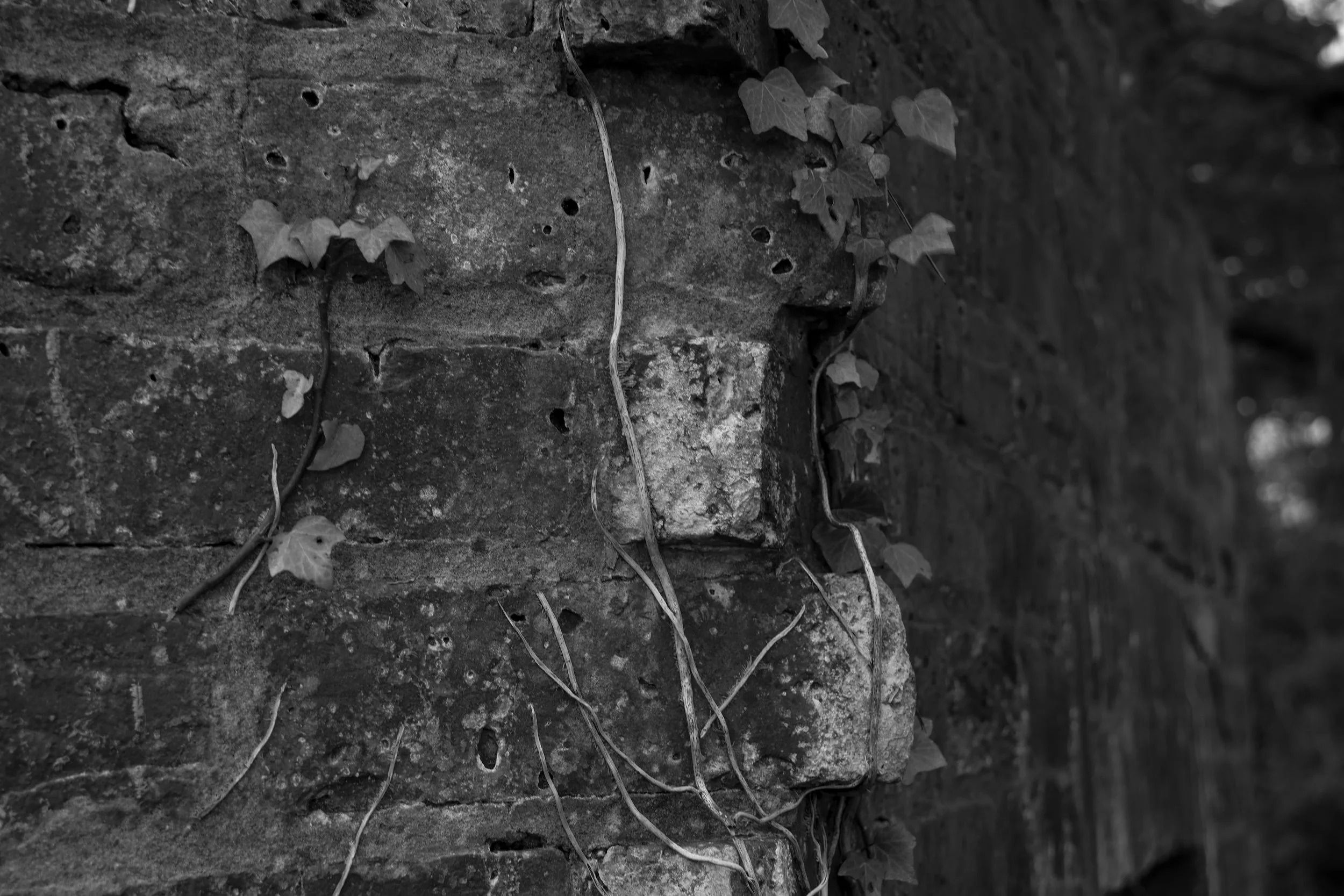 51.252456 N,1.311082 E