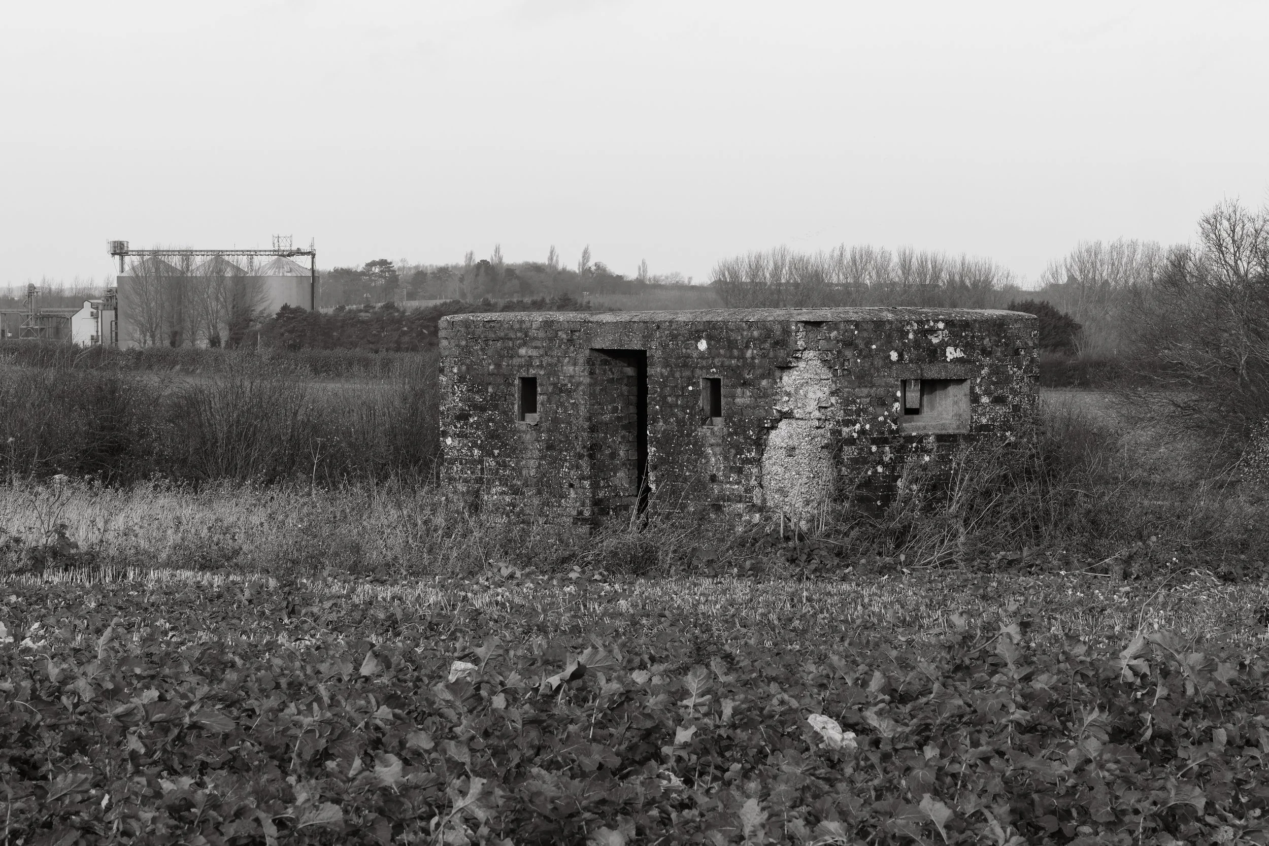 51°15'34.0"N 1°14'24.8"E