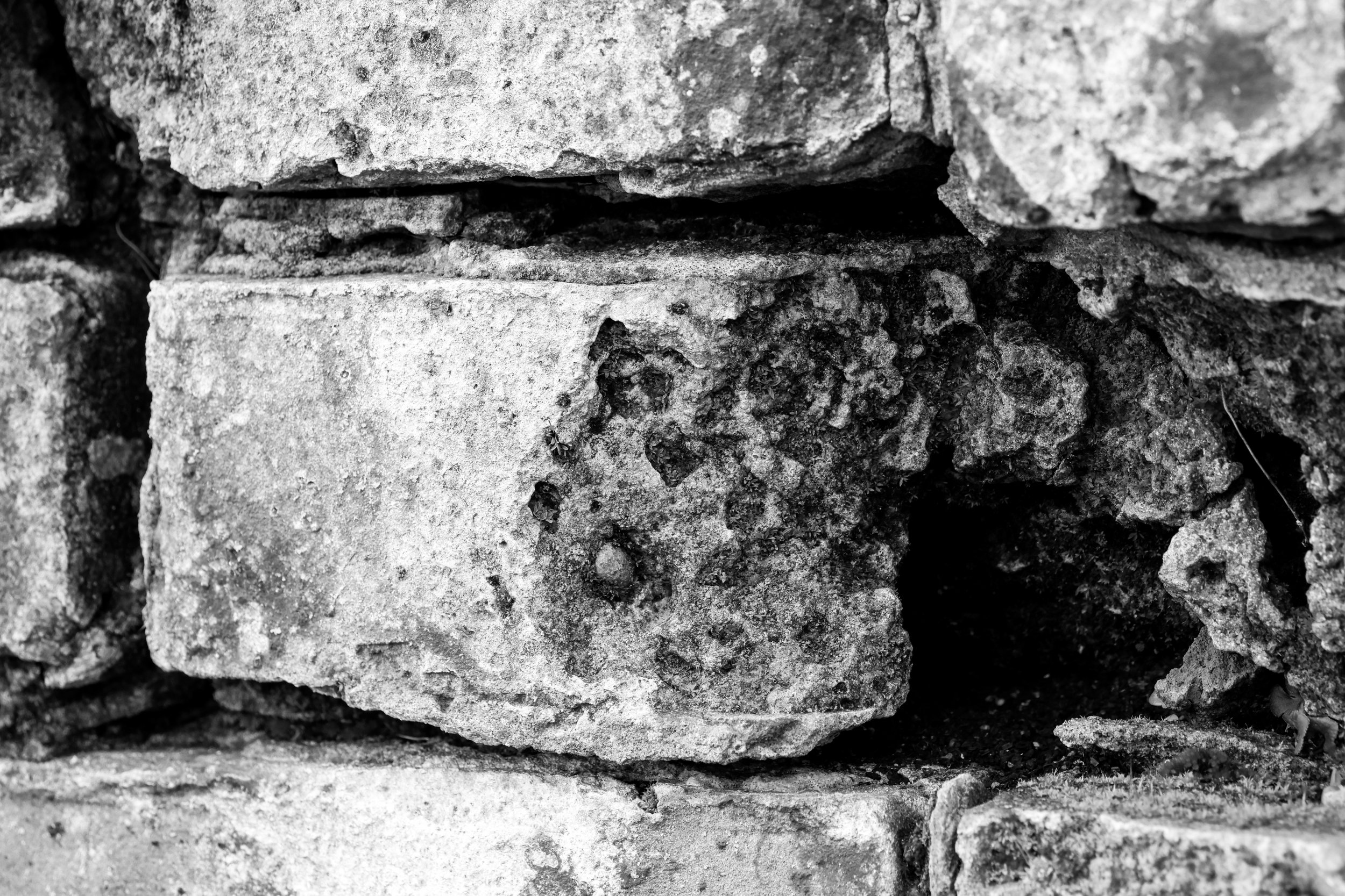 51°15'55.1"N 1°13'52.6"E