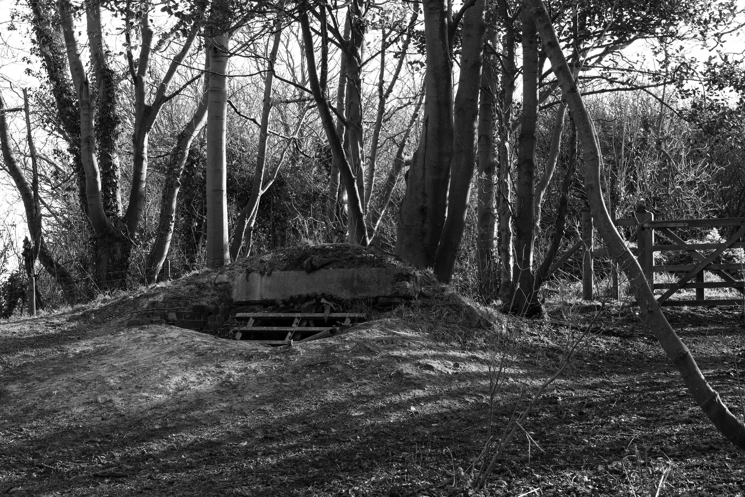 51°08'28.9"N 1°22'16.9"E