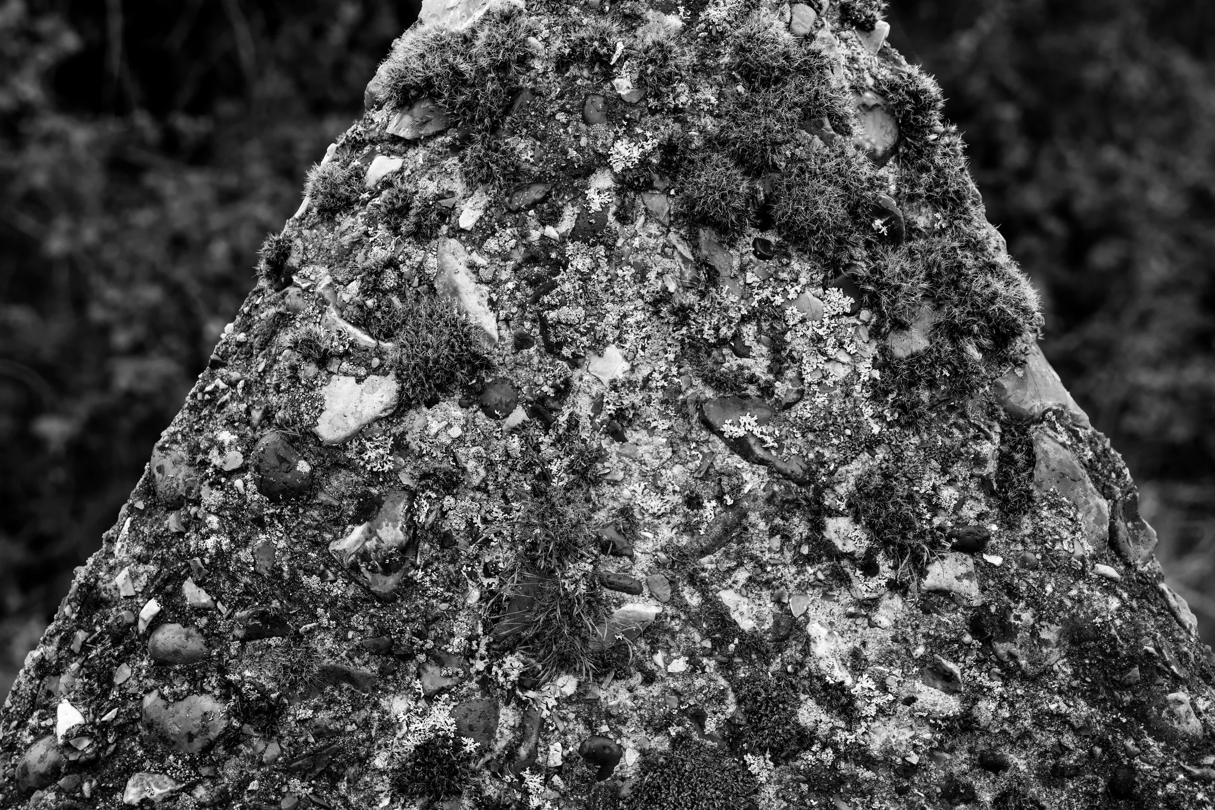 51.257732 N,1.152581 E