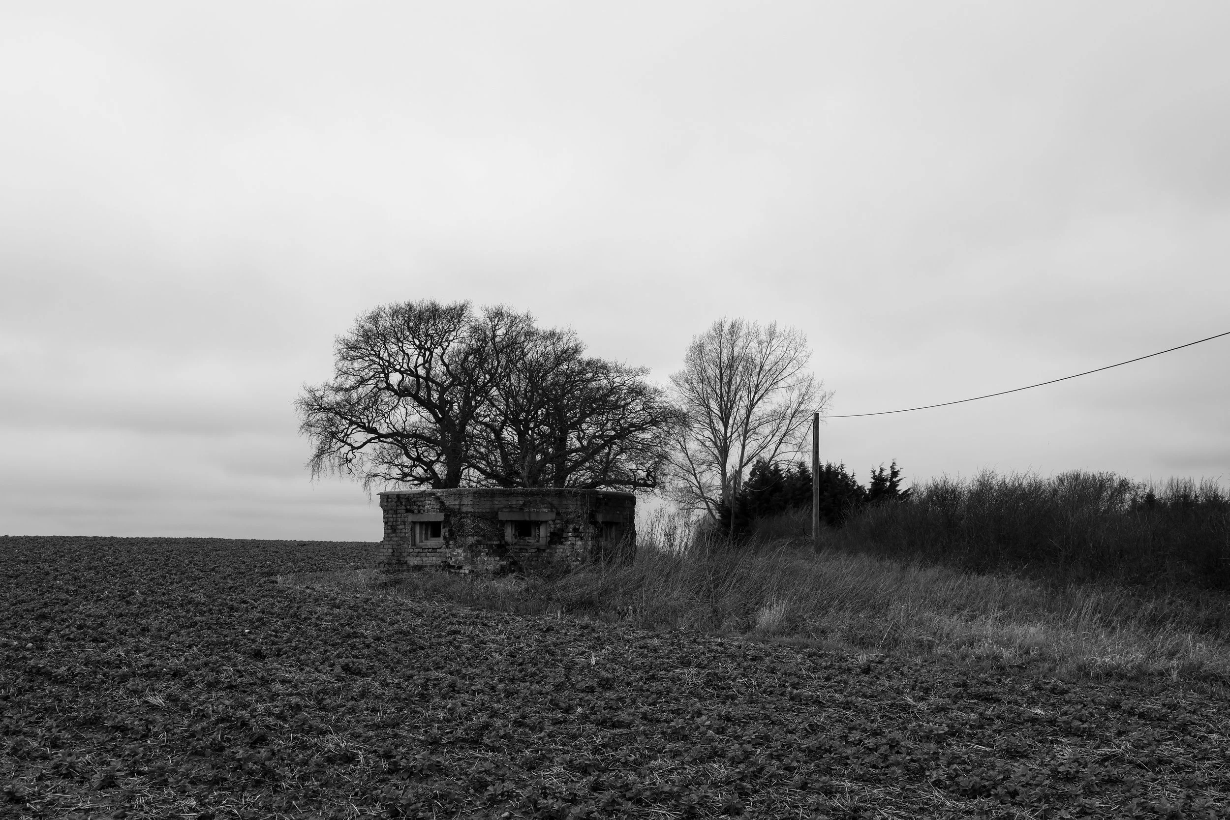 51°15'55.1"N 1°13'52.6"E