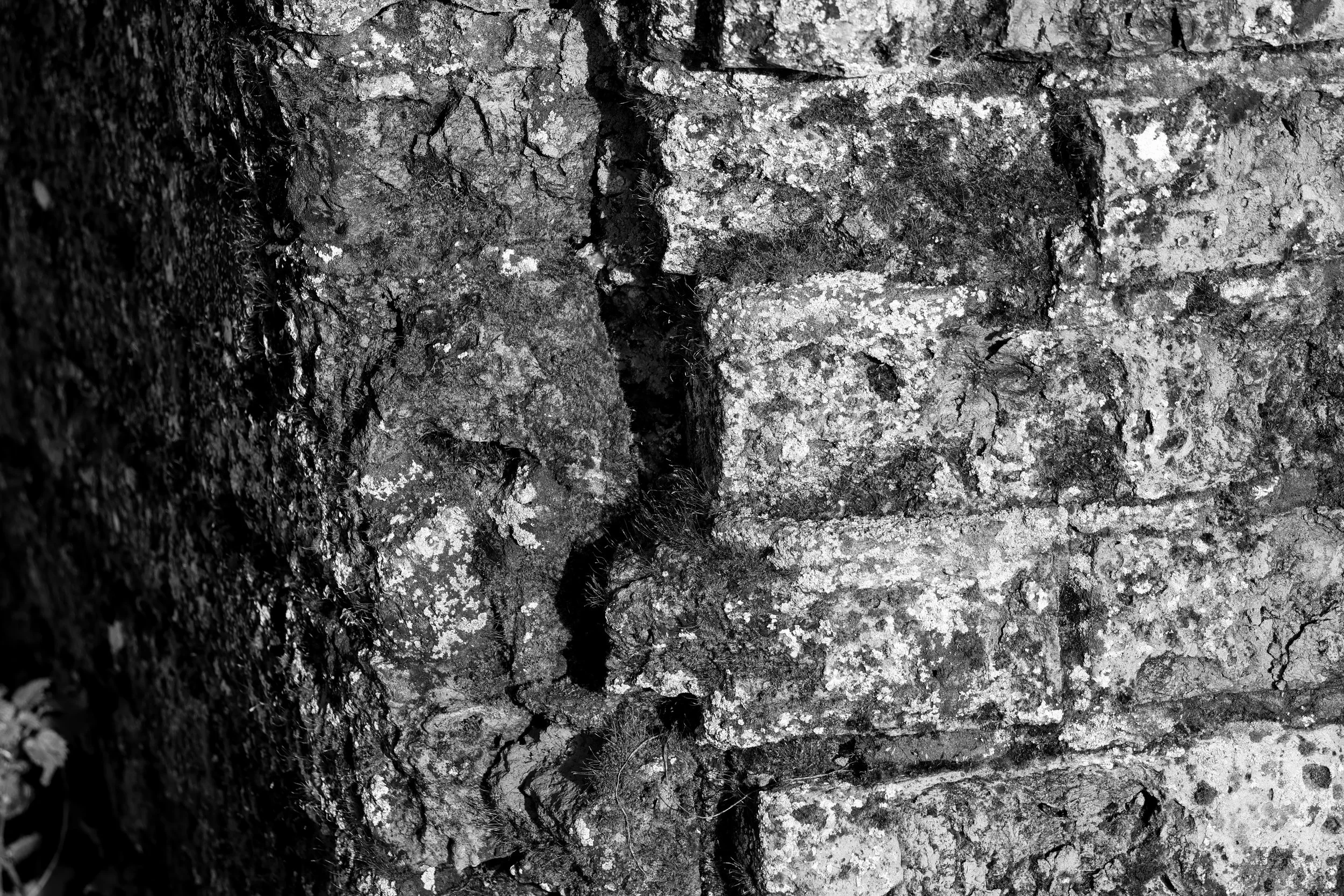 51°14'53.5"N 1°15'24.0"E