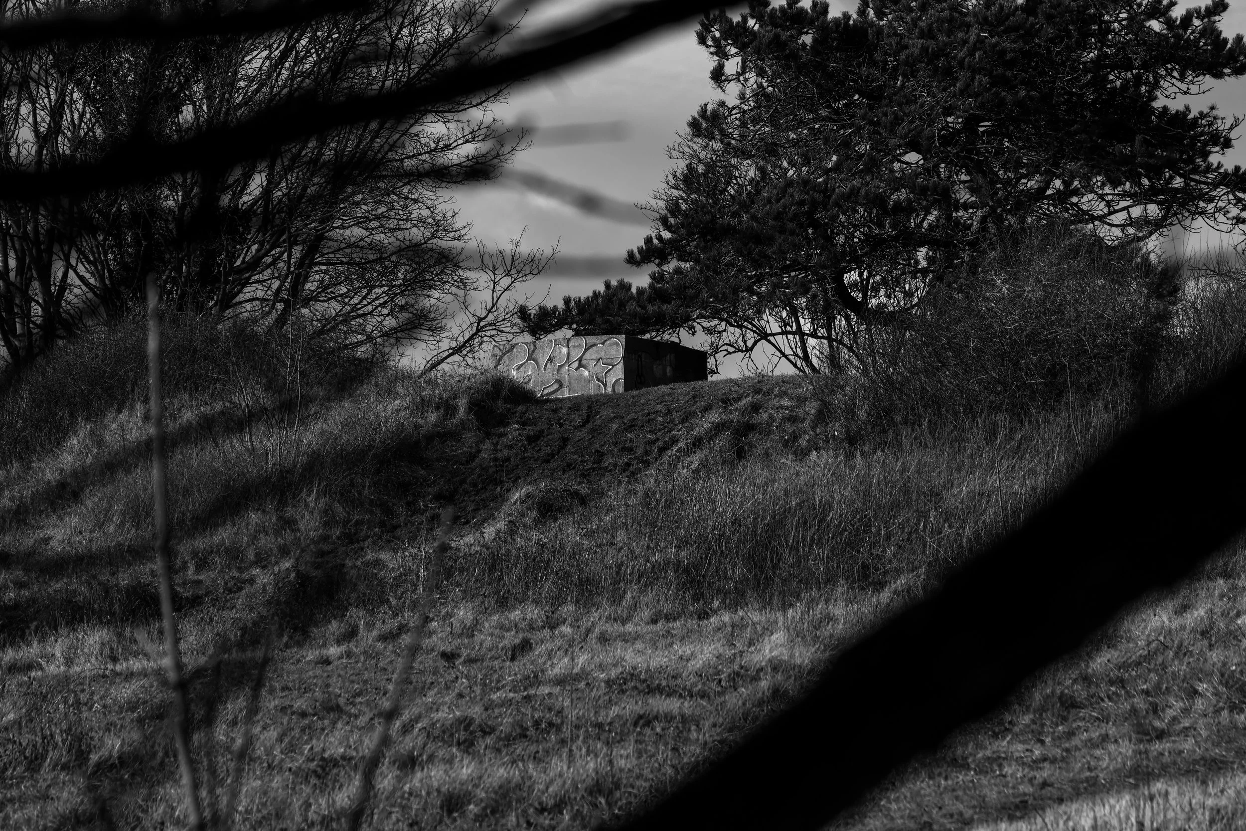 51°08'40.0"N 1°22'21.9"E