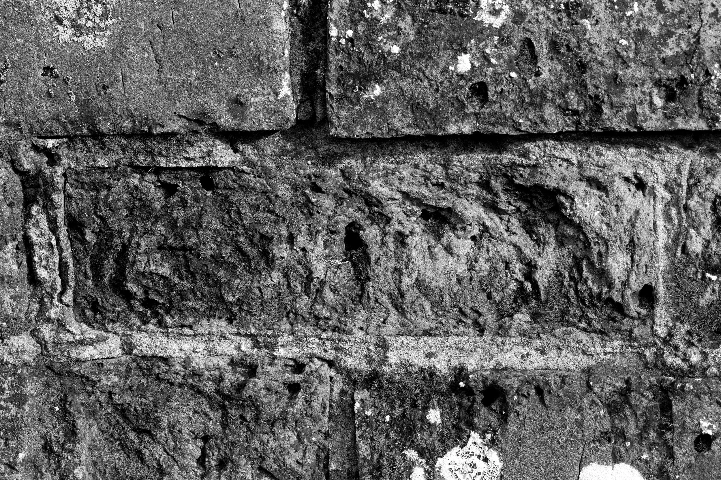 51°15'34.0"N 1°14'24.8"E