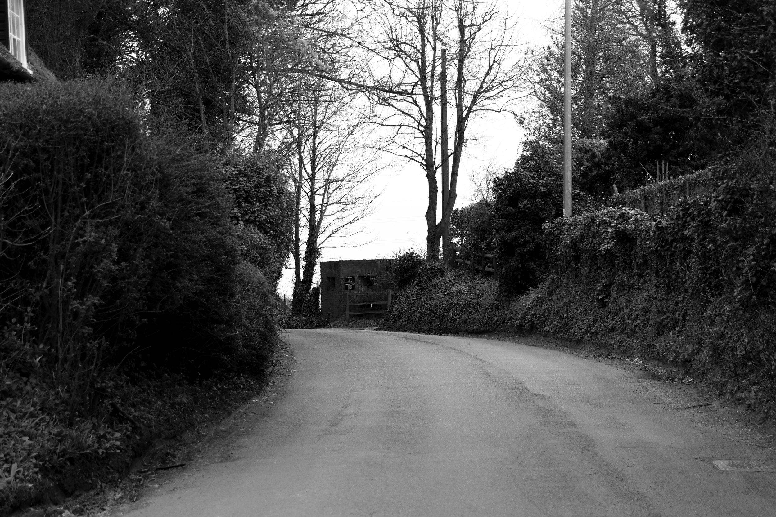 51.252456 N,1.311082 E