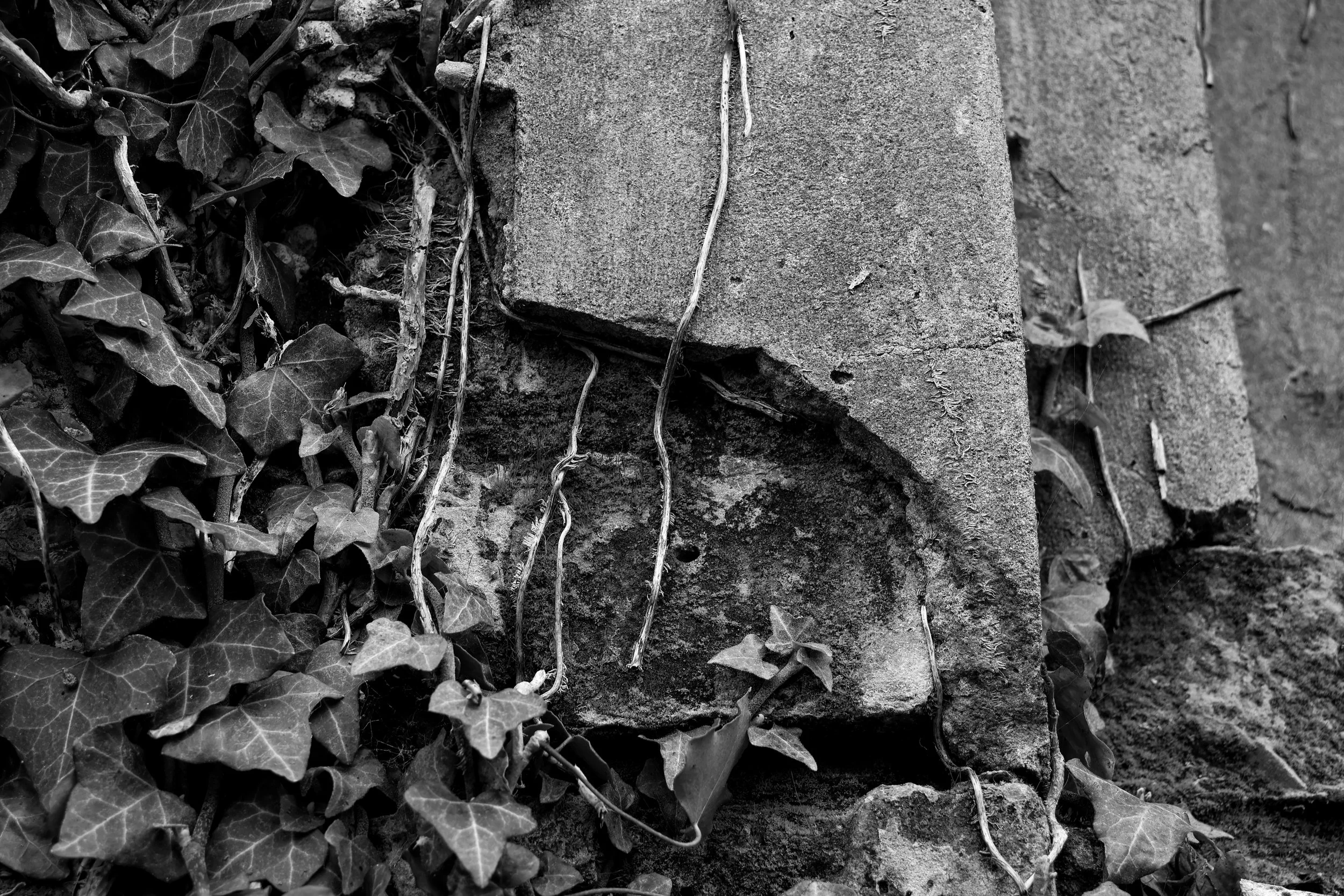 51.266010 N,1.191791 E