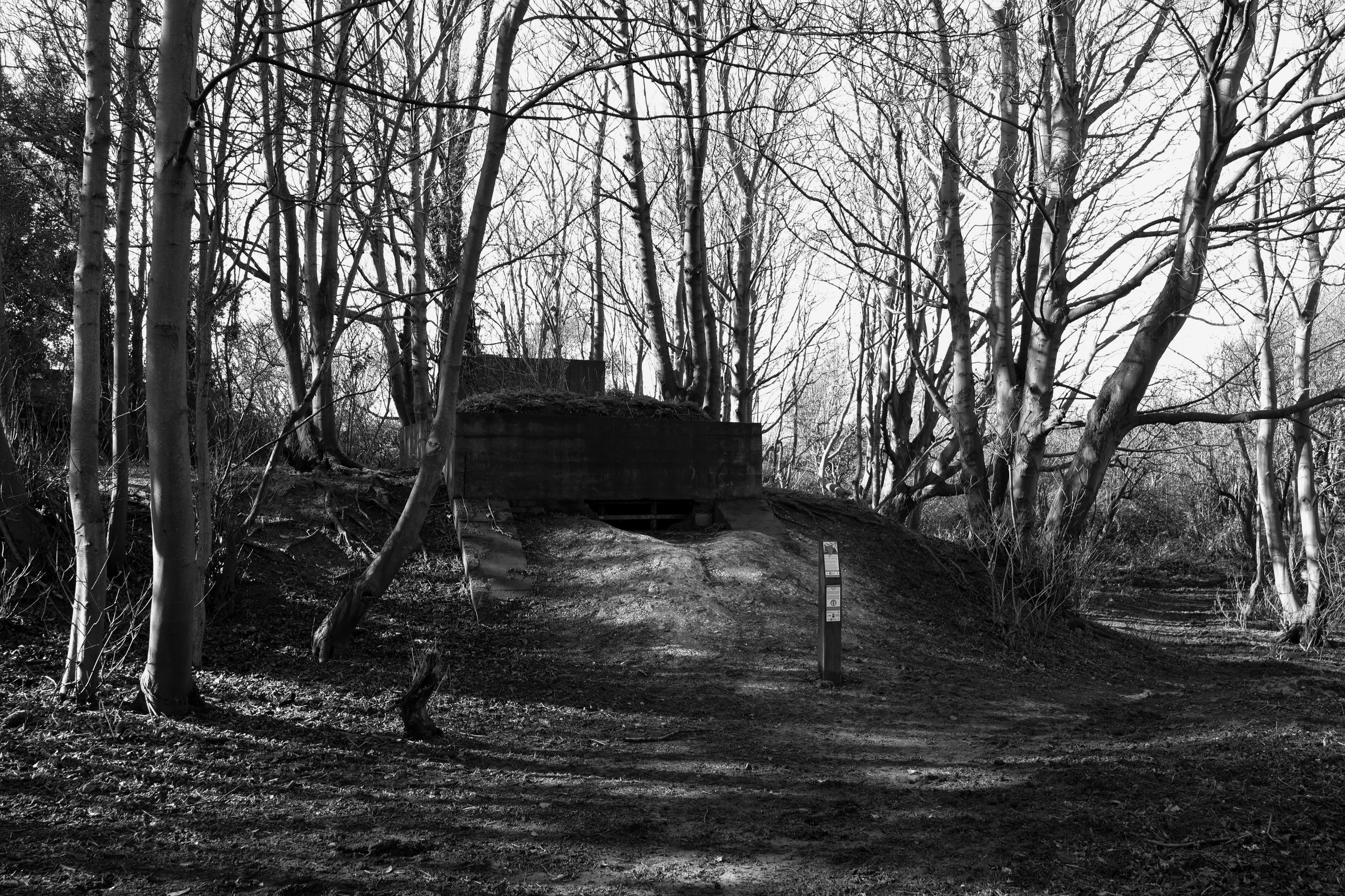 51°08'28.9"N 1°22'16.9"E