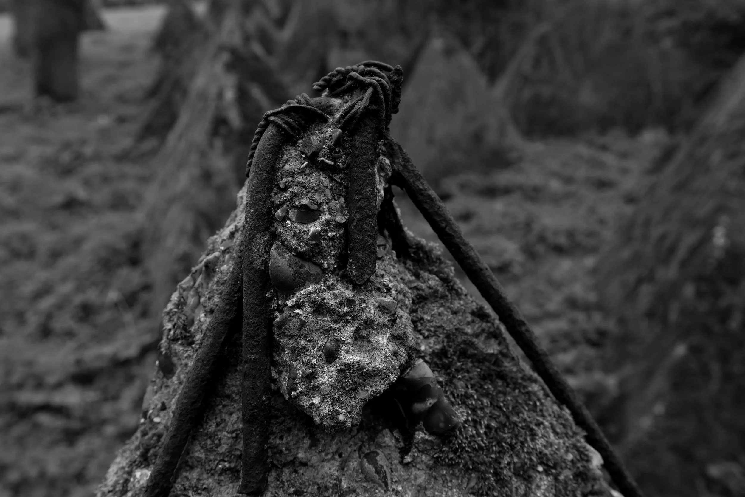 51.257732 N,1.152581 E