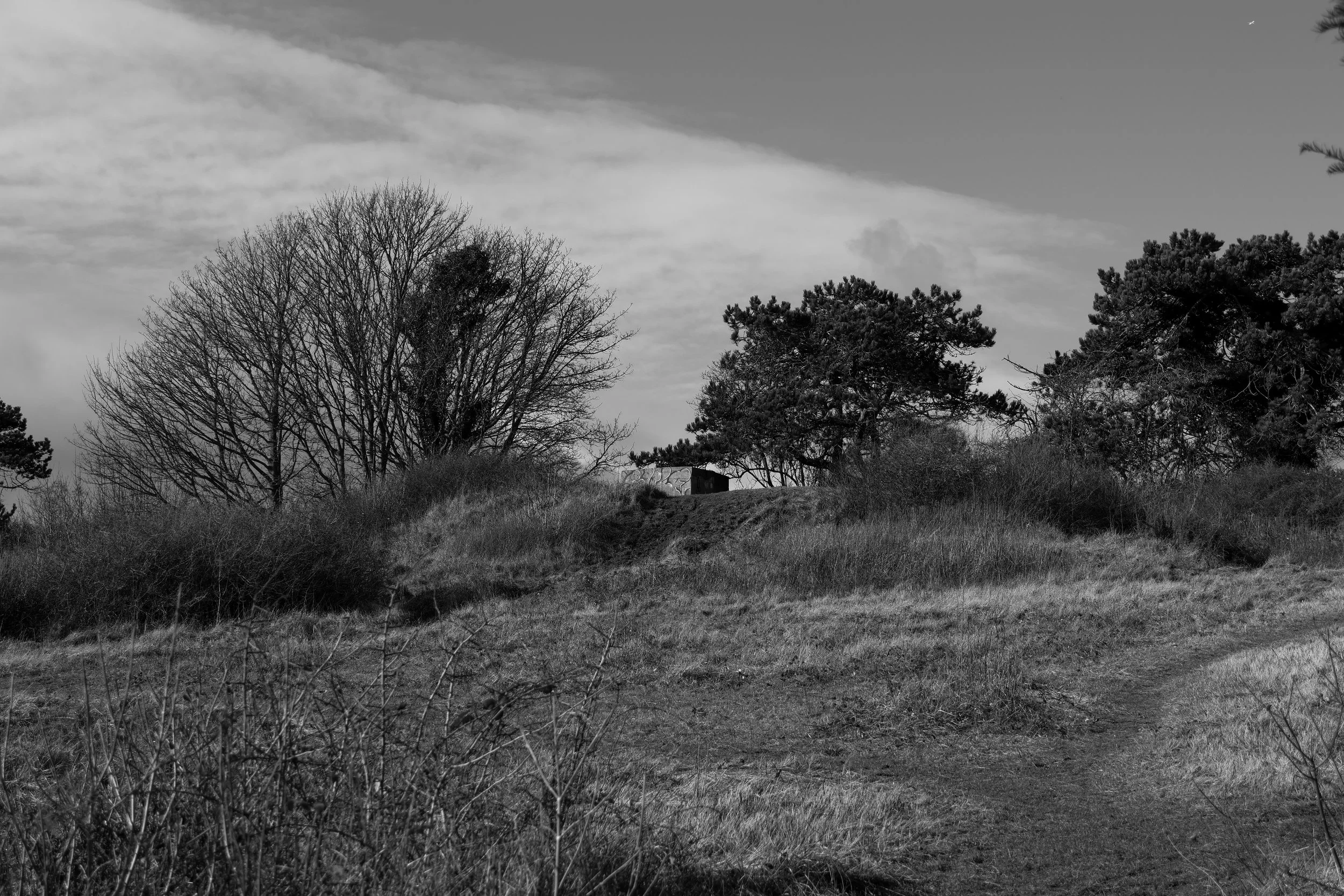 51°08'40.0"N 1°22'21.9"E