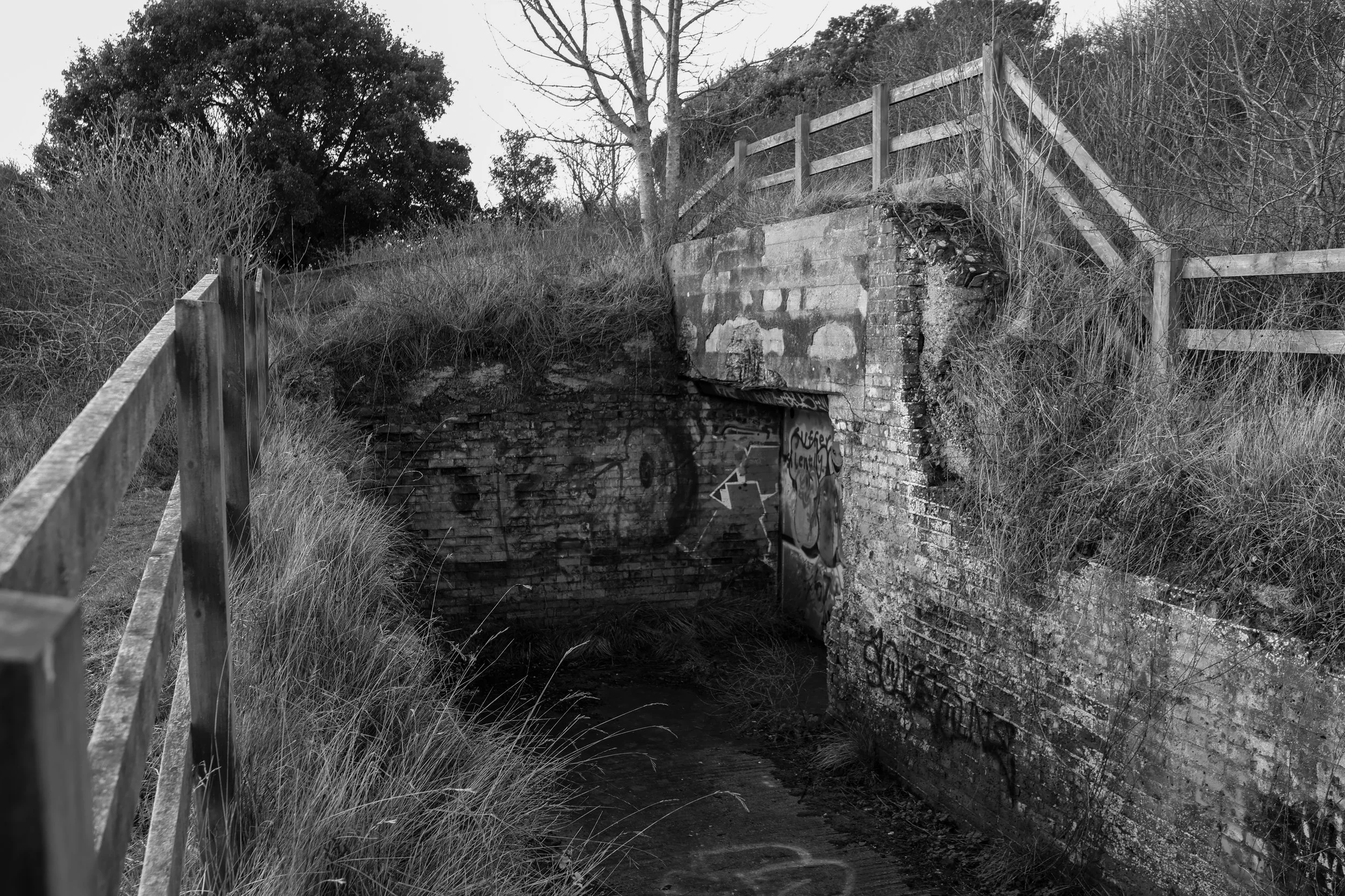 51°08'37.1"N 1°22'16.2"E