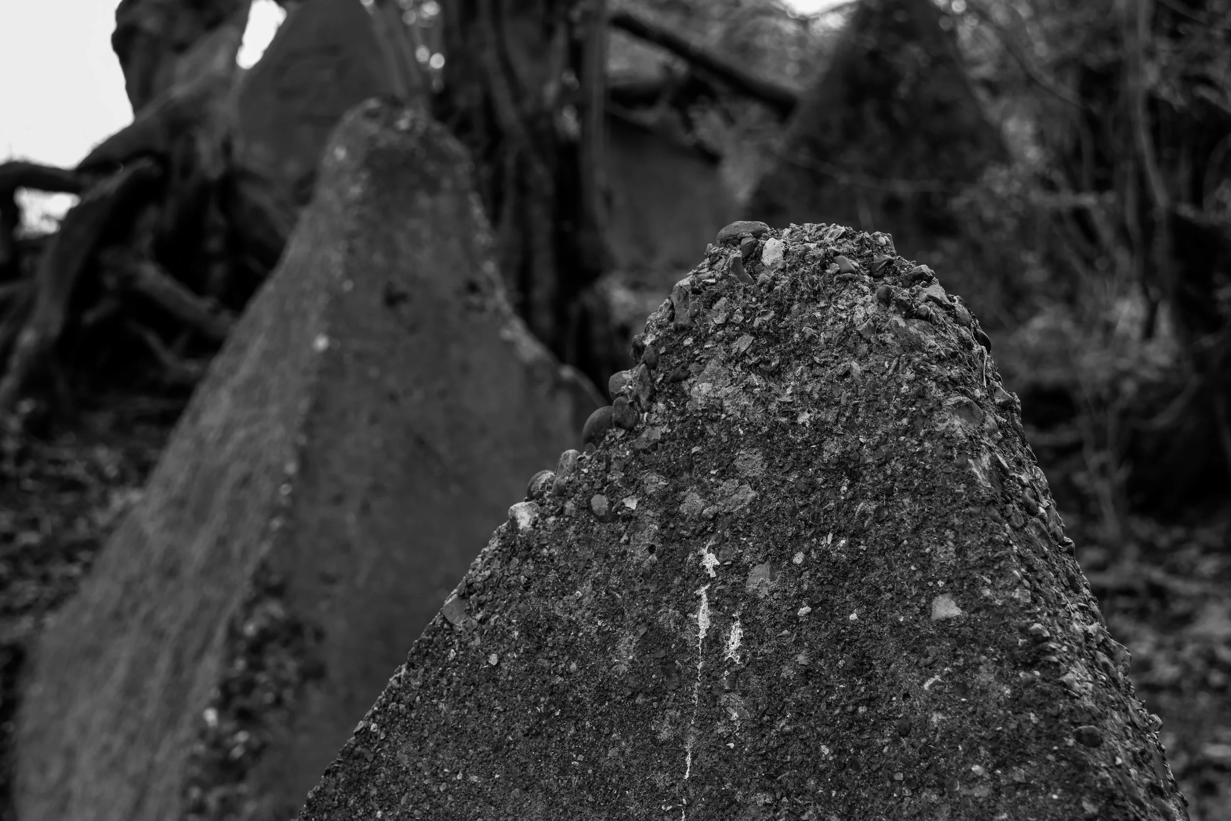 51.257732 N,1.152581 E