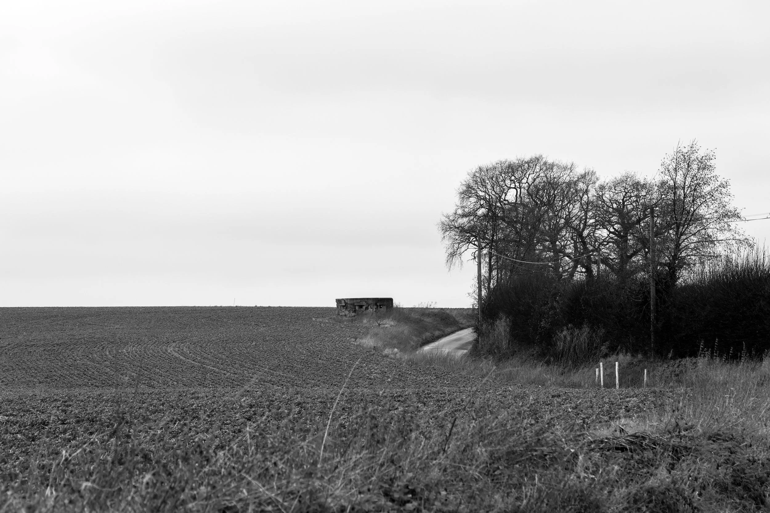 51°15'55.1"N 1°13'52.6"E