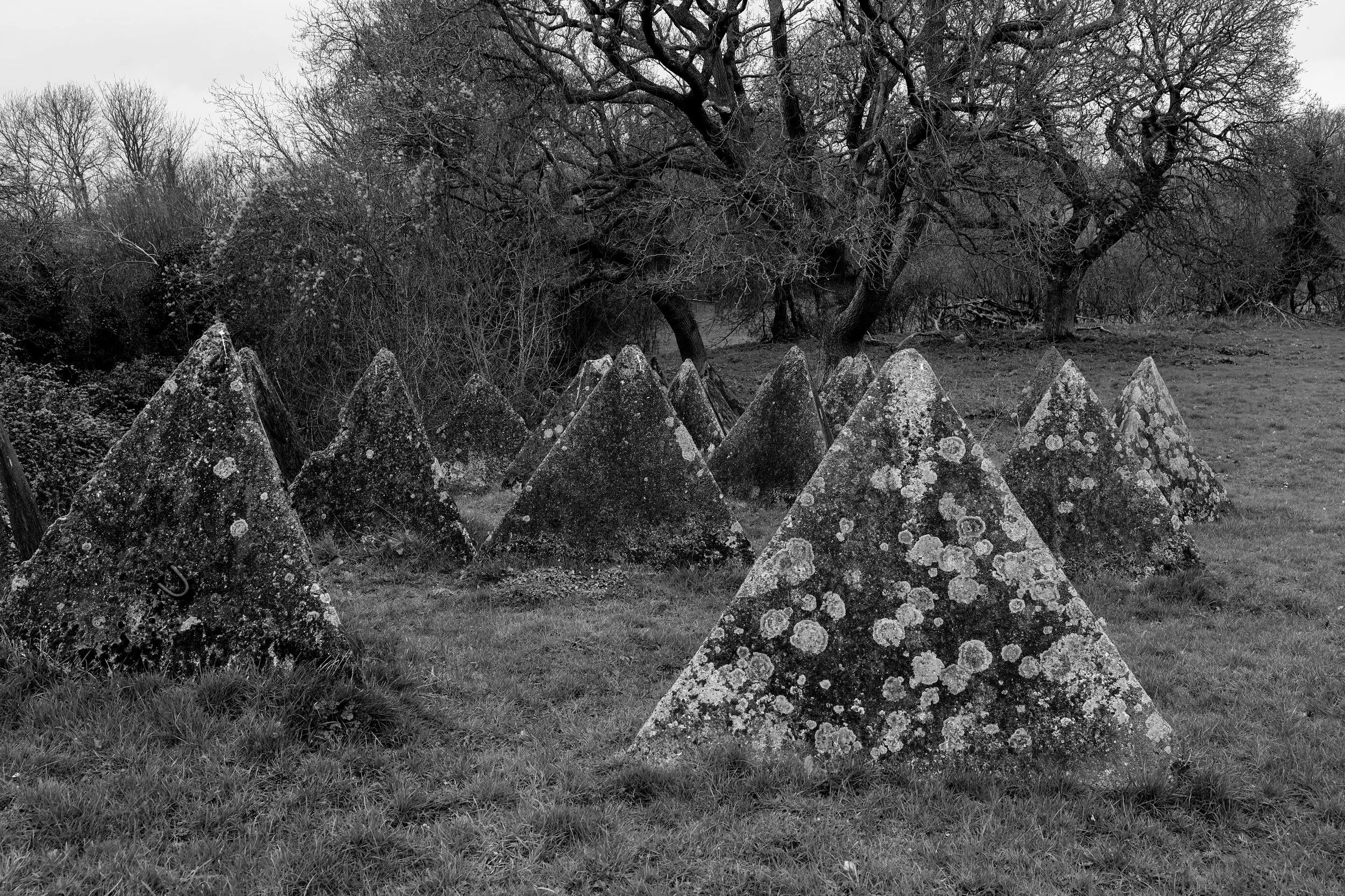 51.257732 N,1.152581 E