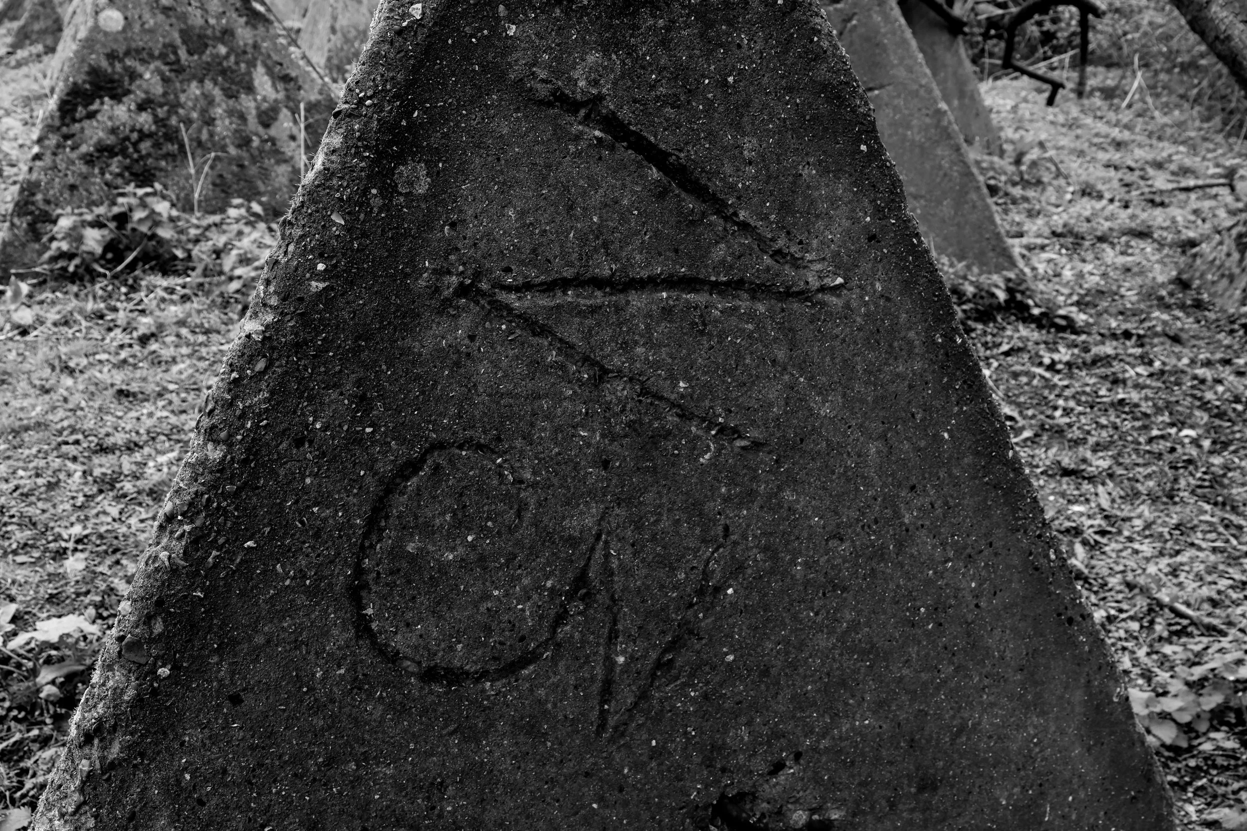 51.257732 N,1.152581 E