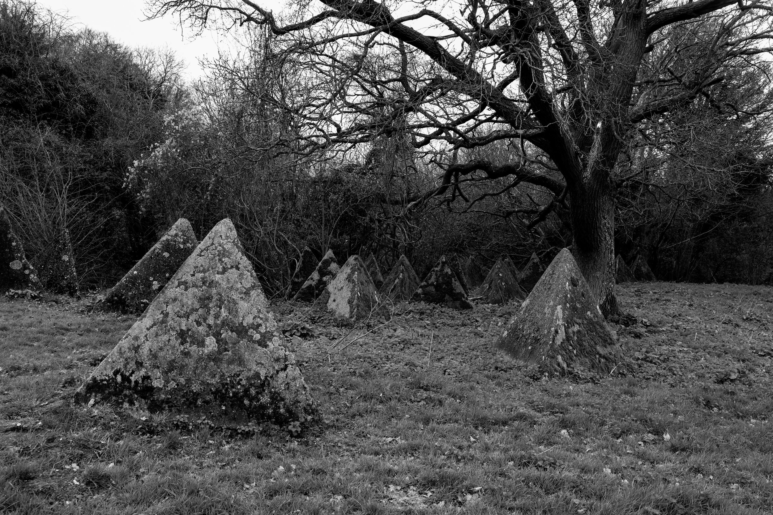 51.257732 N,1.152581 E