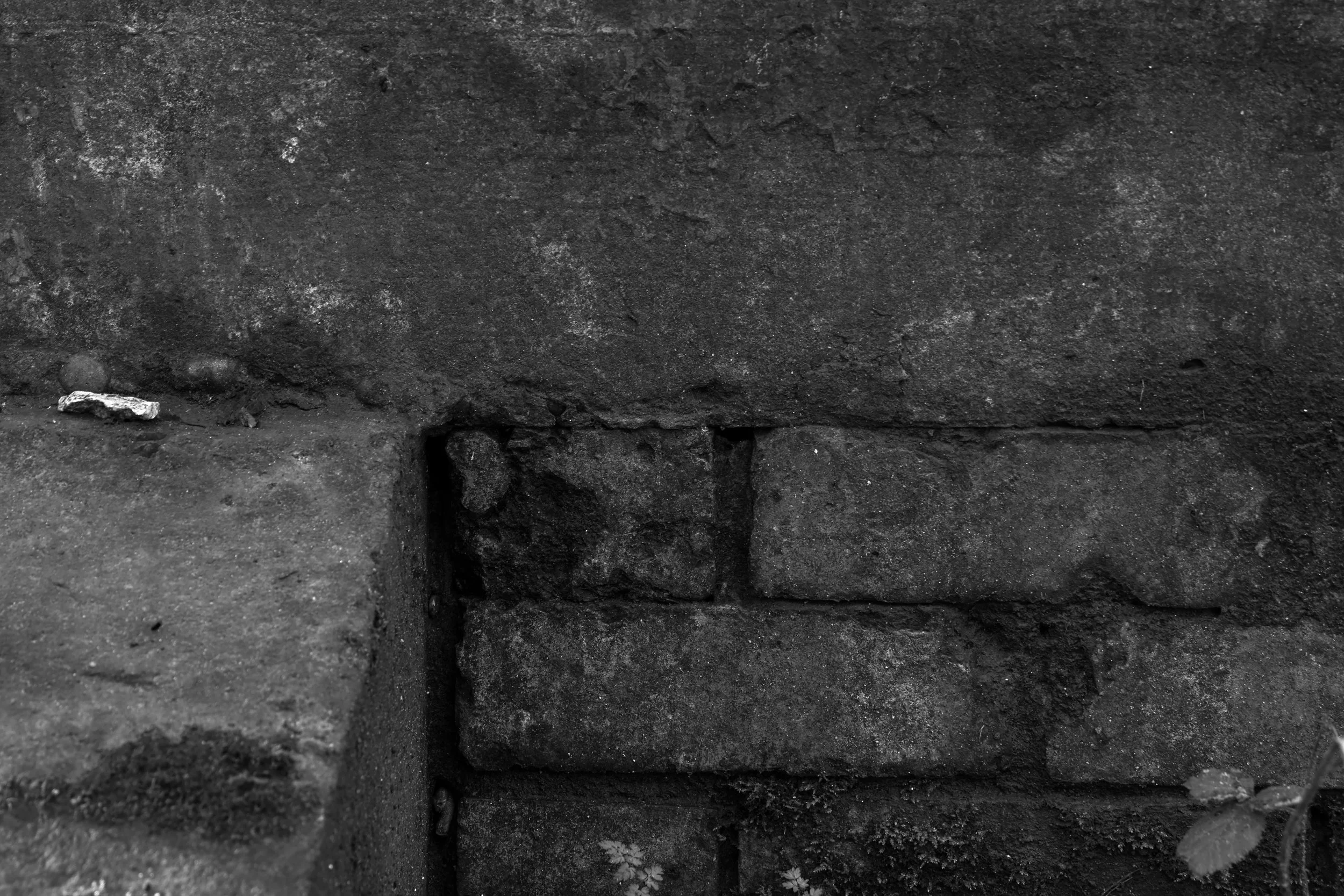 51°08'28.9"N 1°22'16.9"E