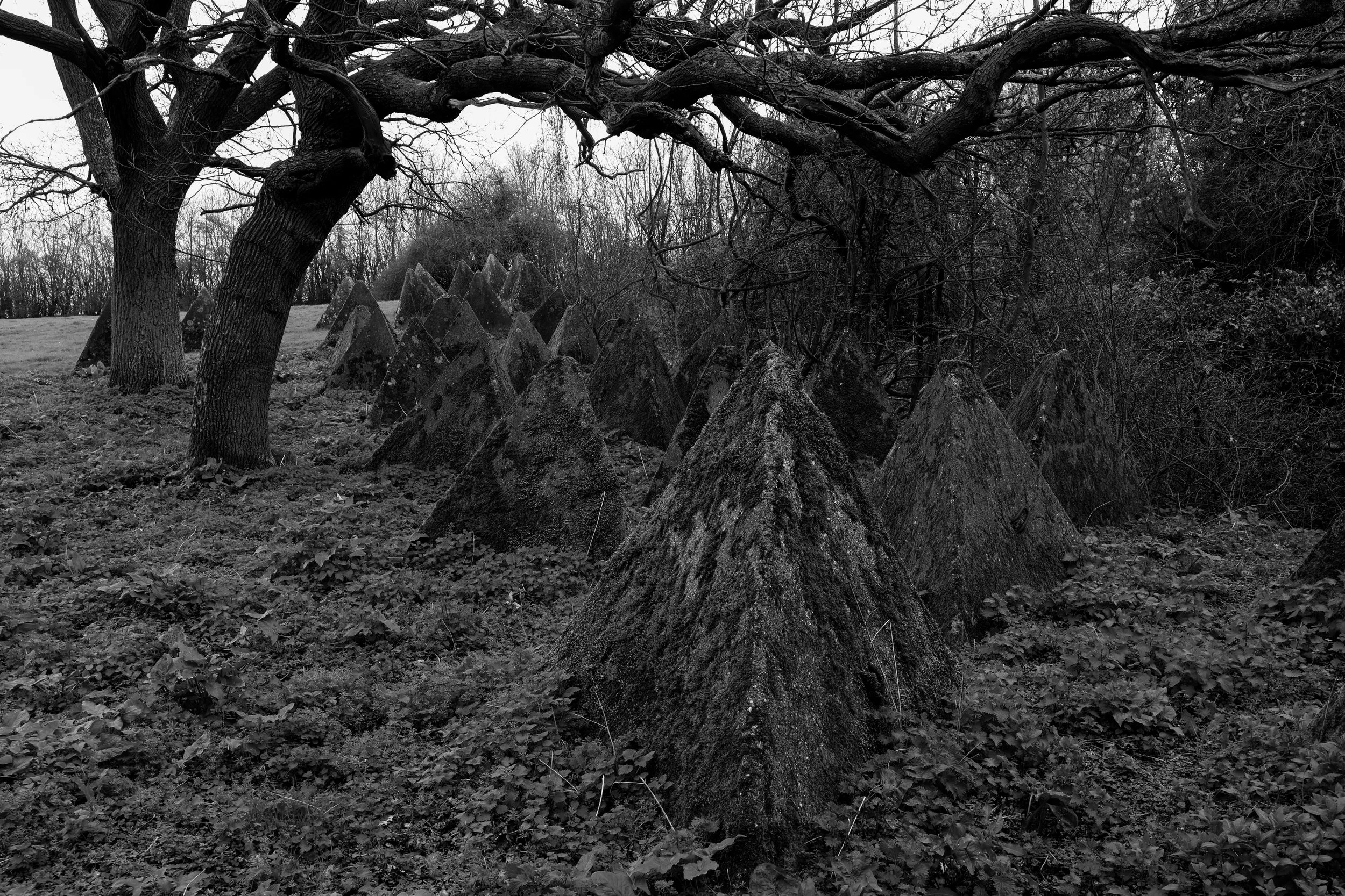 51.257732 N,1.152581 E