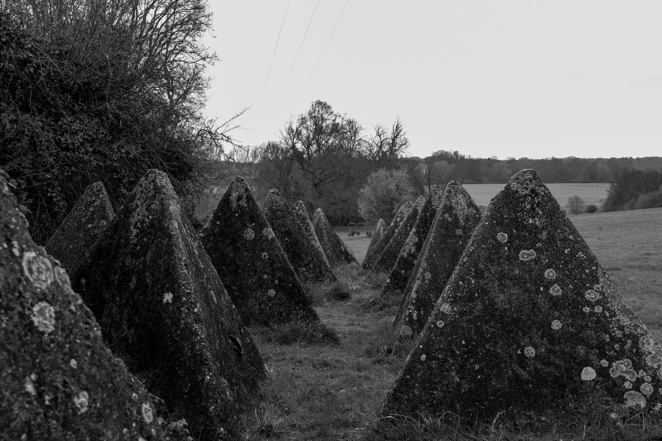 51.257732 N,1.152581 E