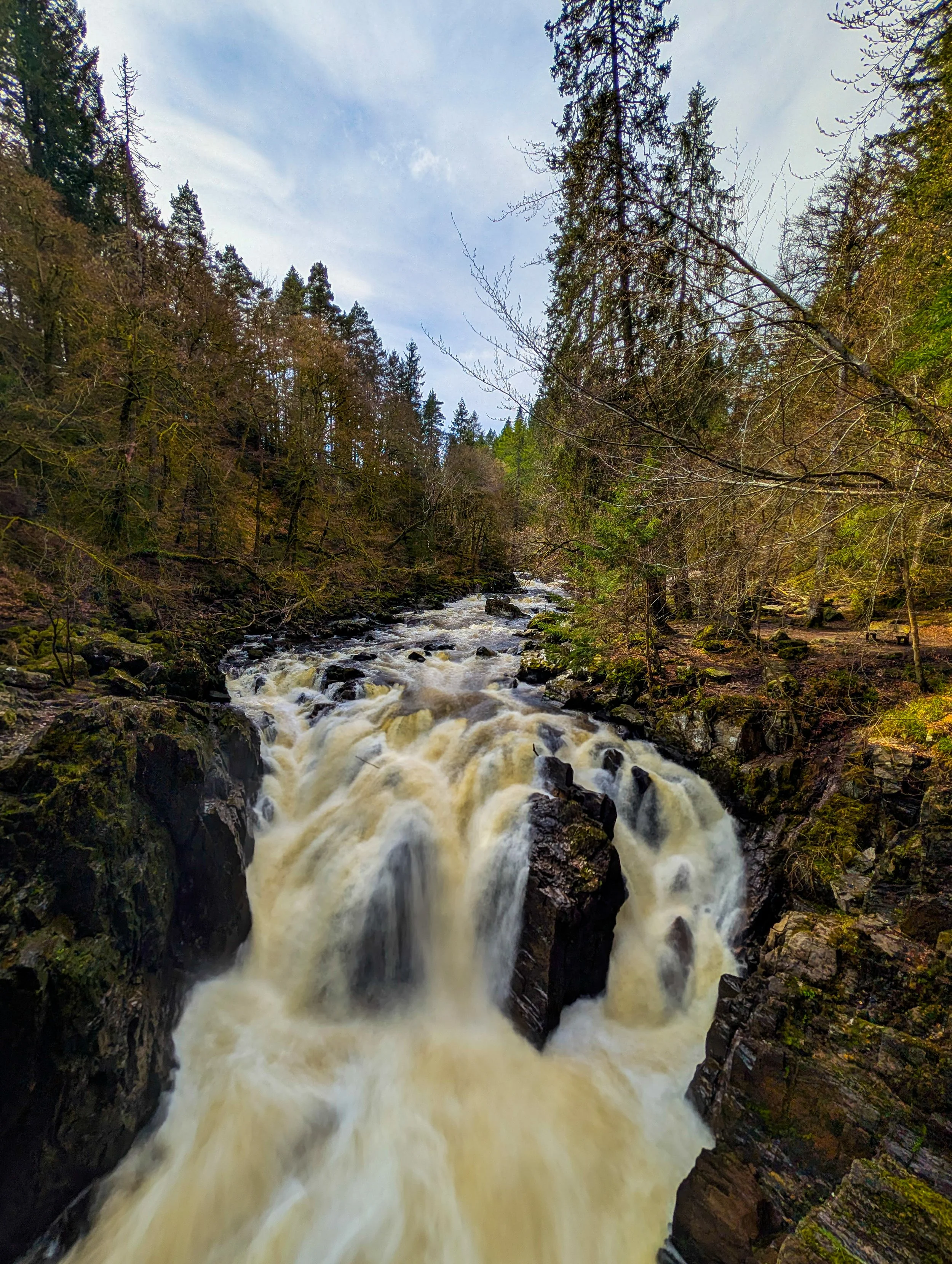 The Hermitage 