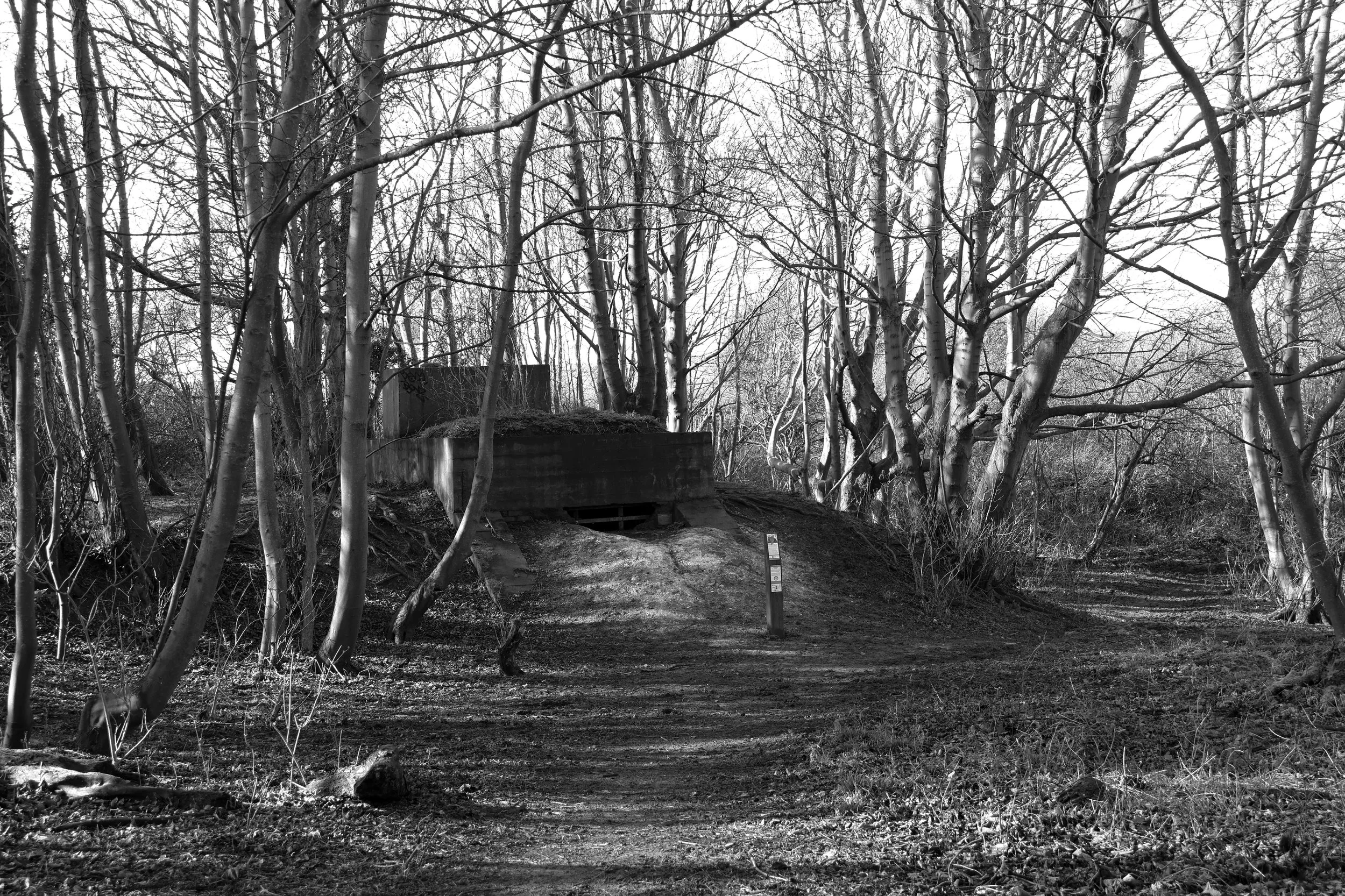 51°08'28.9"N 1°22'16.9"E