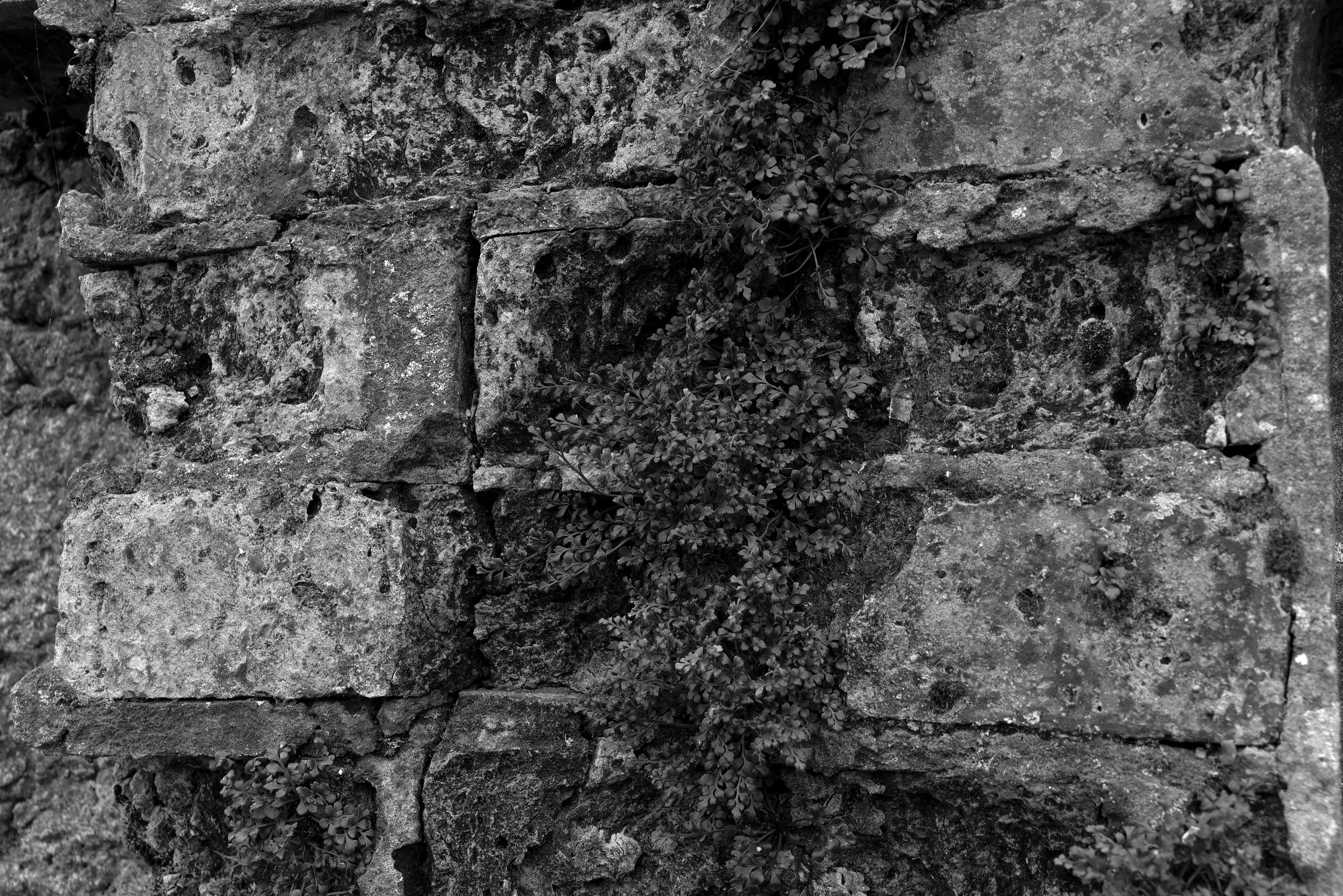 51.1454.1 N 1.1607.2 E