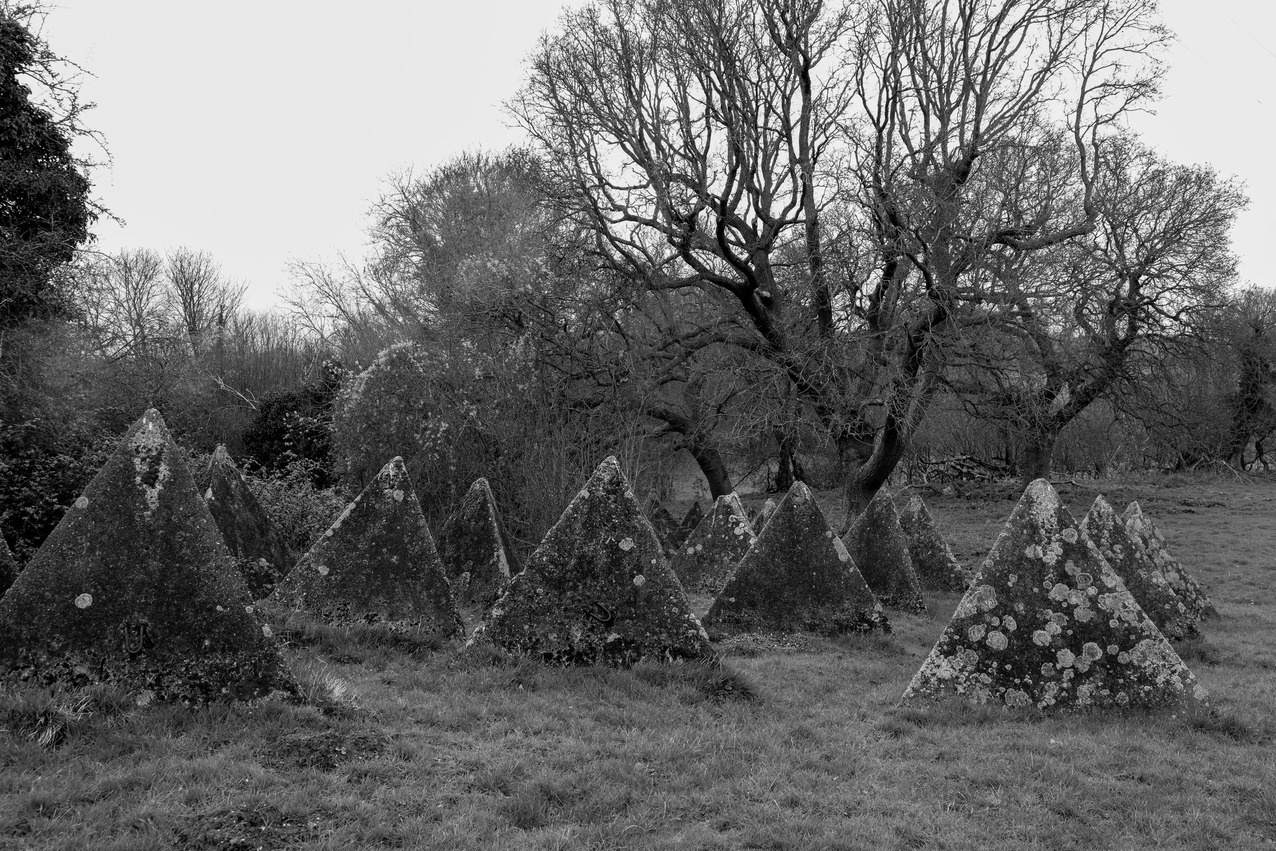 51.257732 N,1.152581 E