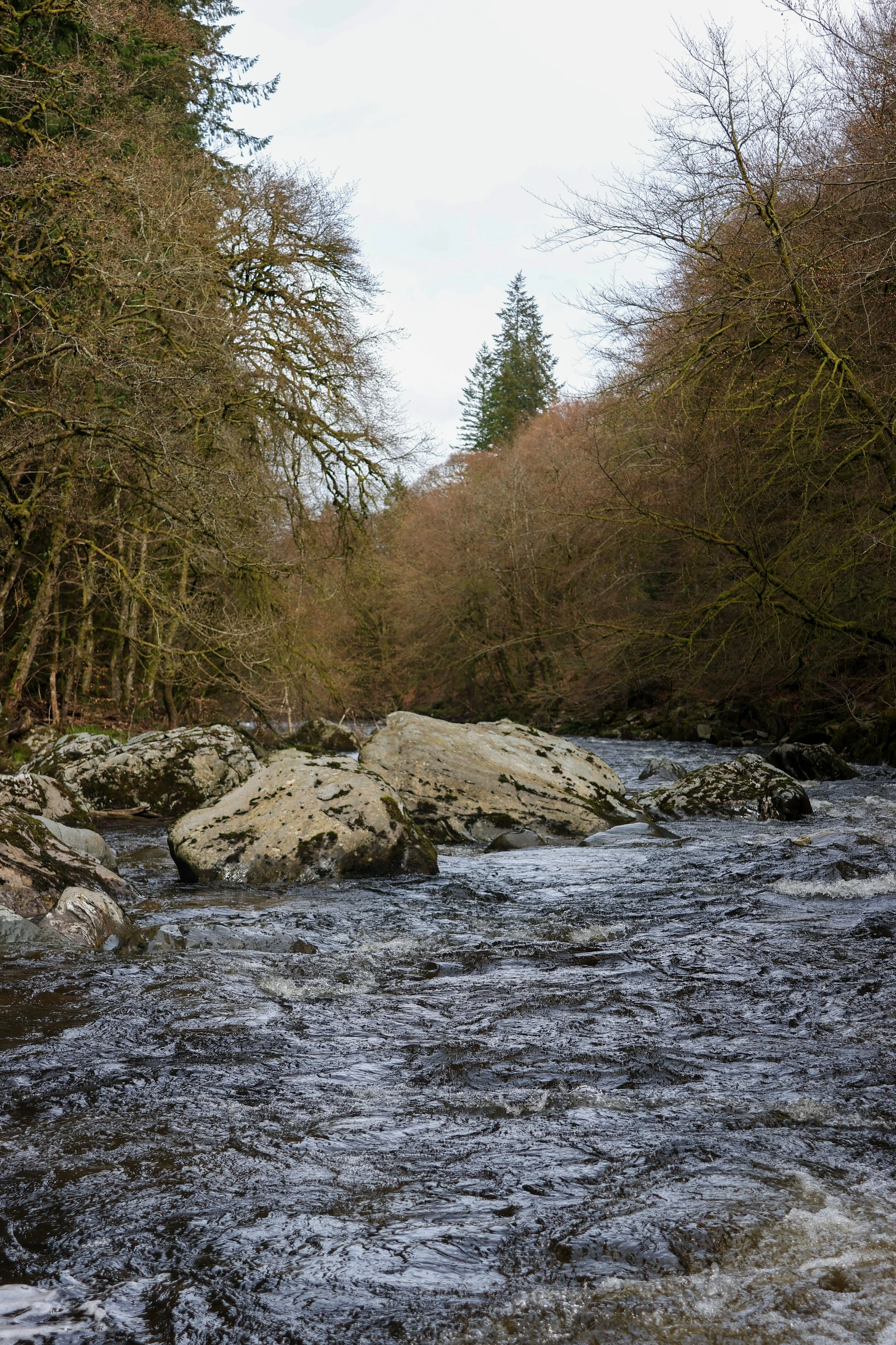 The Hermitage 