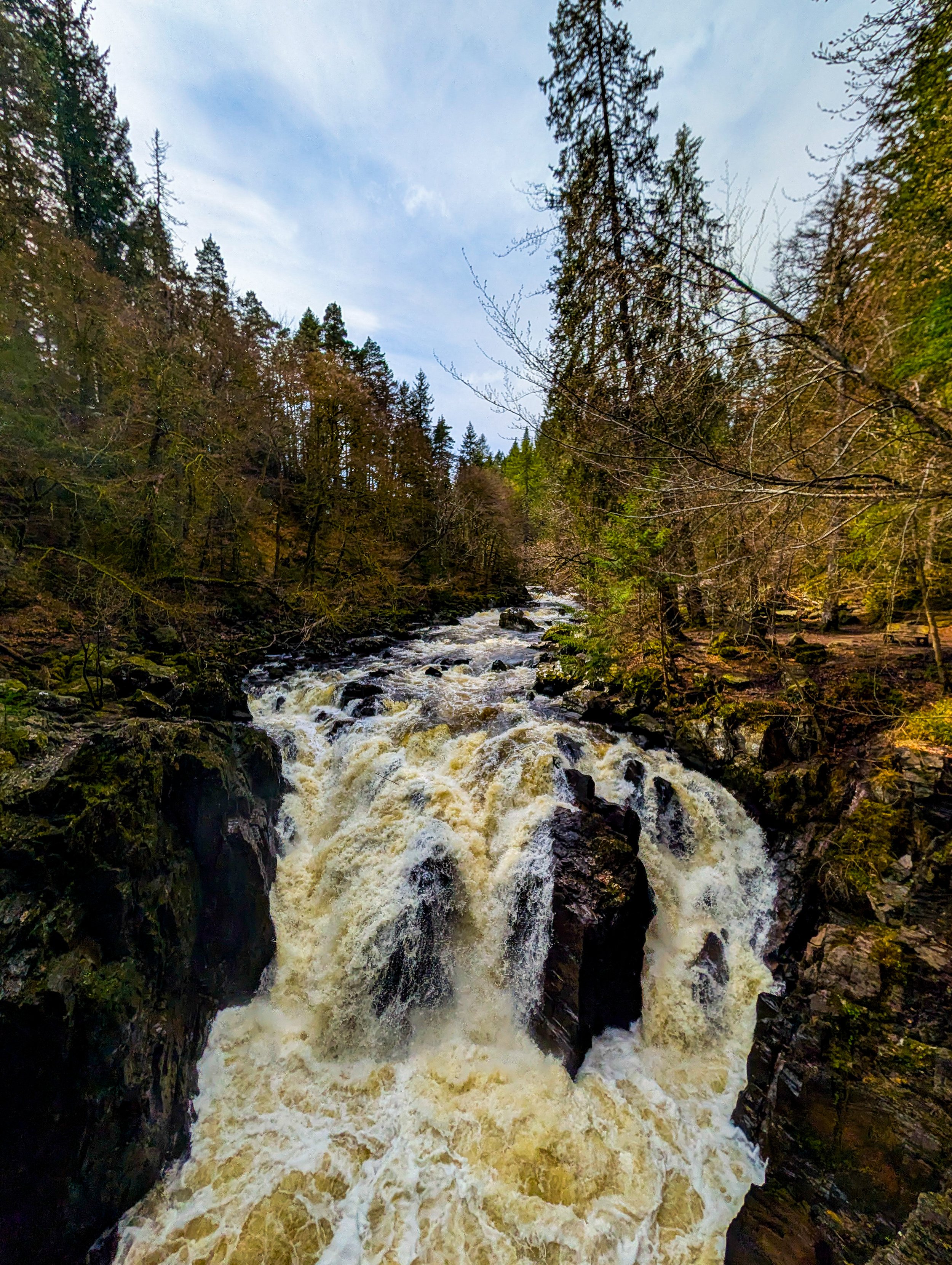 The Hermitage 