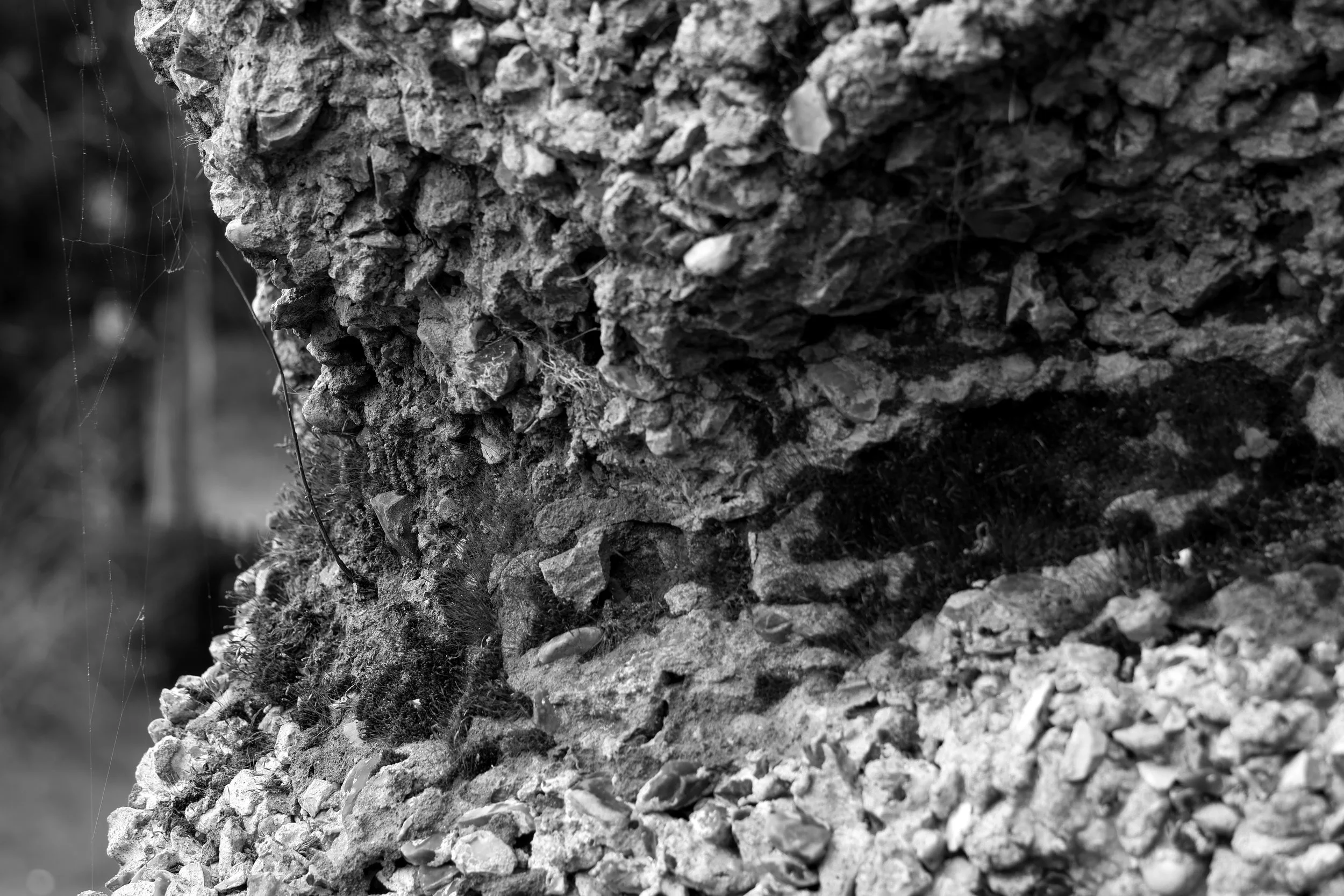 51.266010 N,1.191791 E