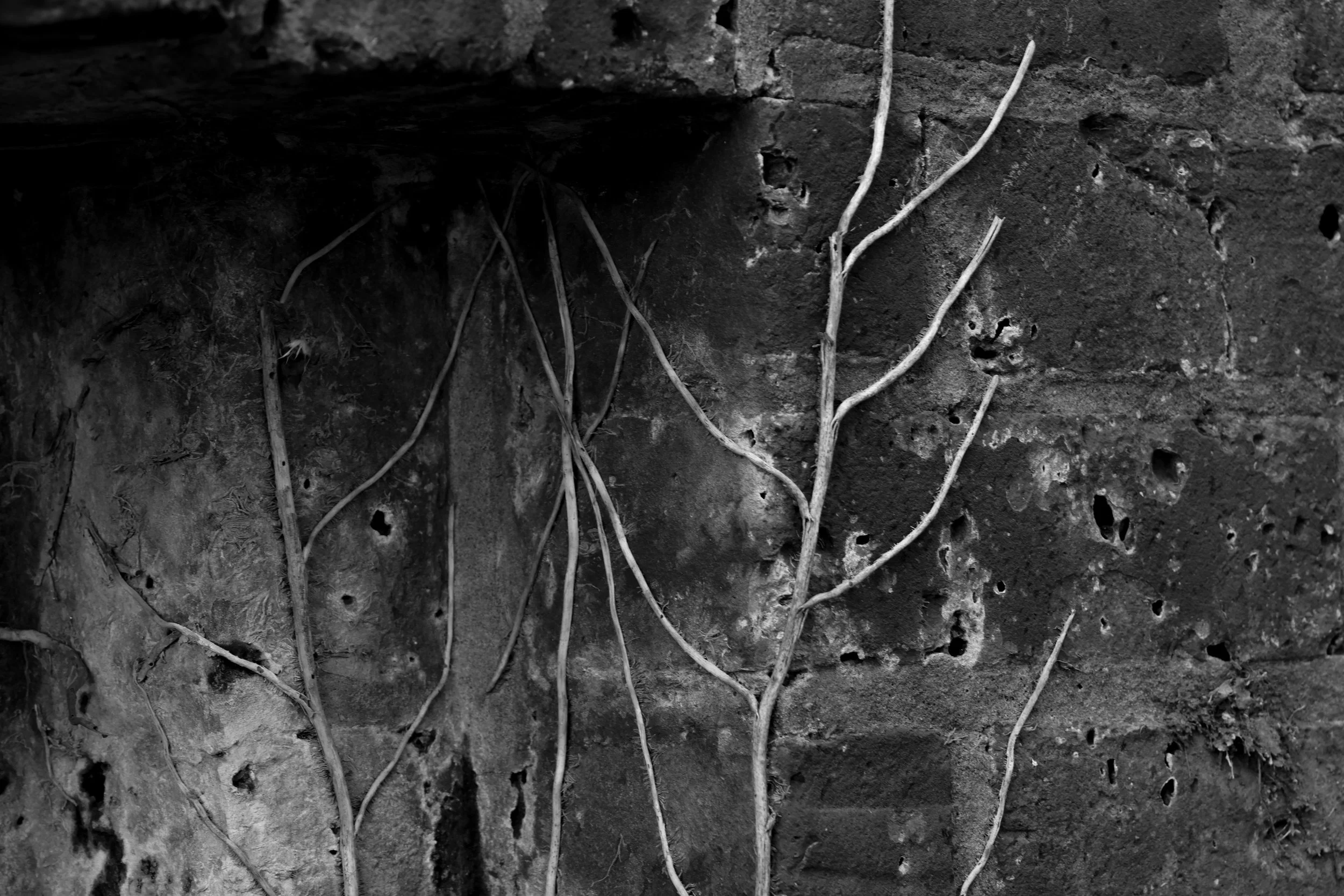 51.252456 N,1.311082 E